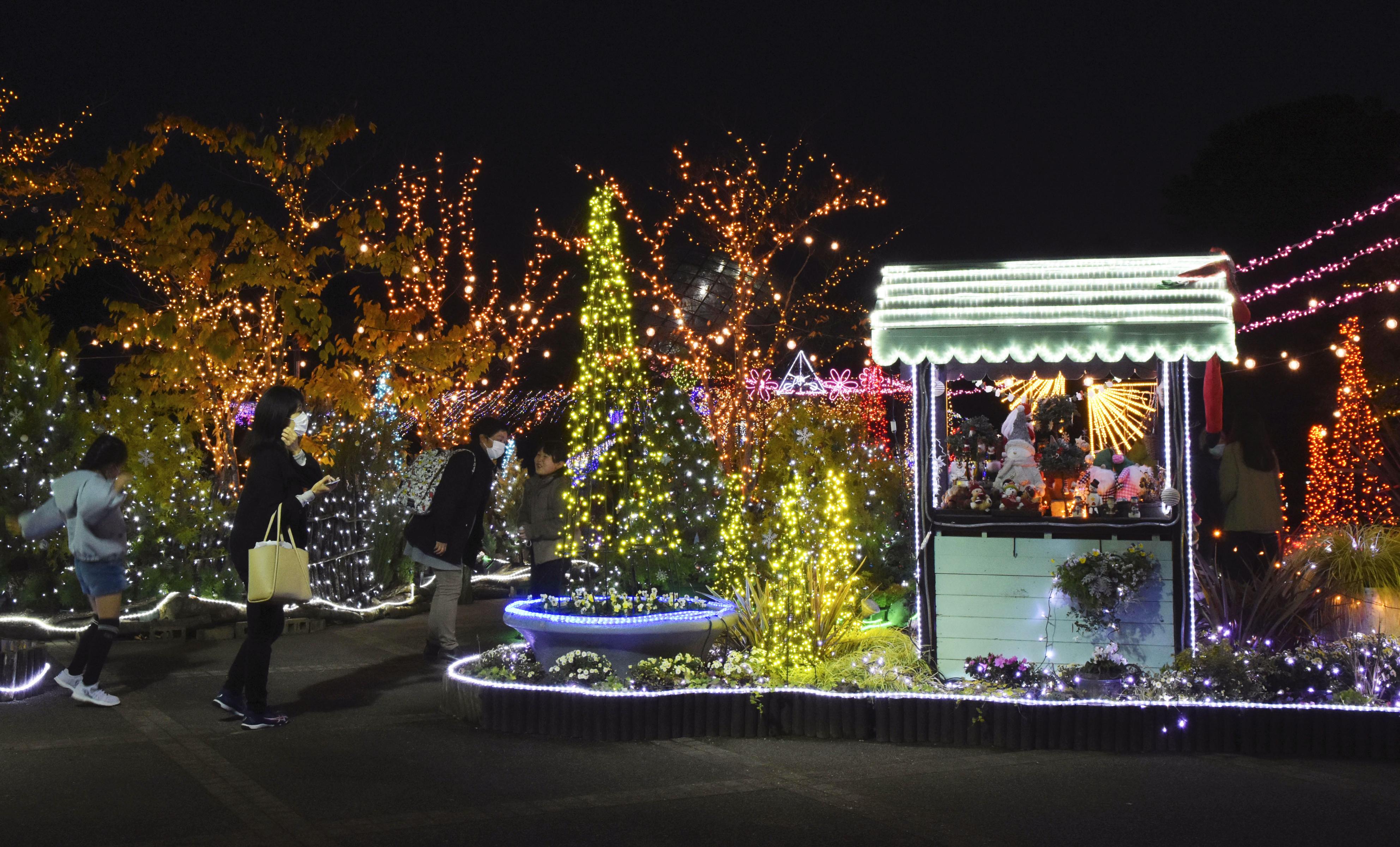 フォト】100万球の光と花が共演 とっとり花回廊、11日から - 産経