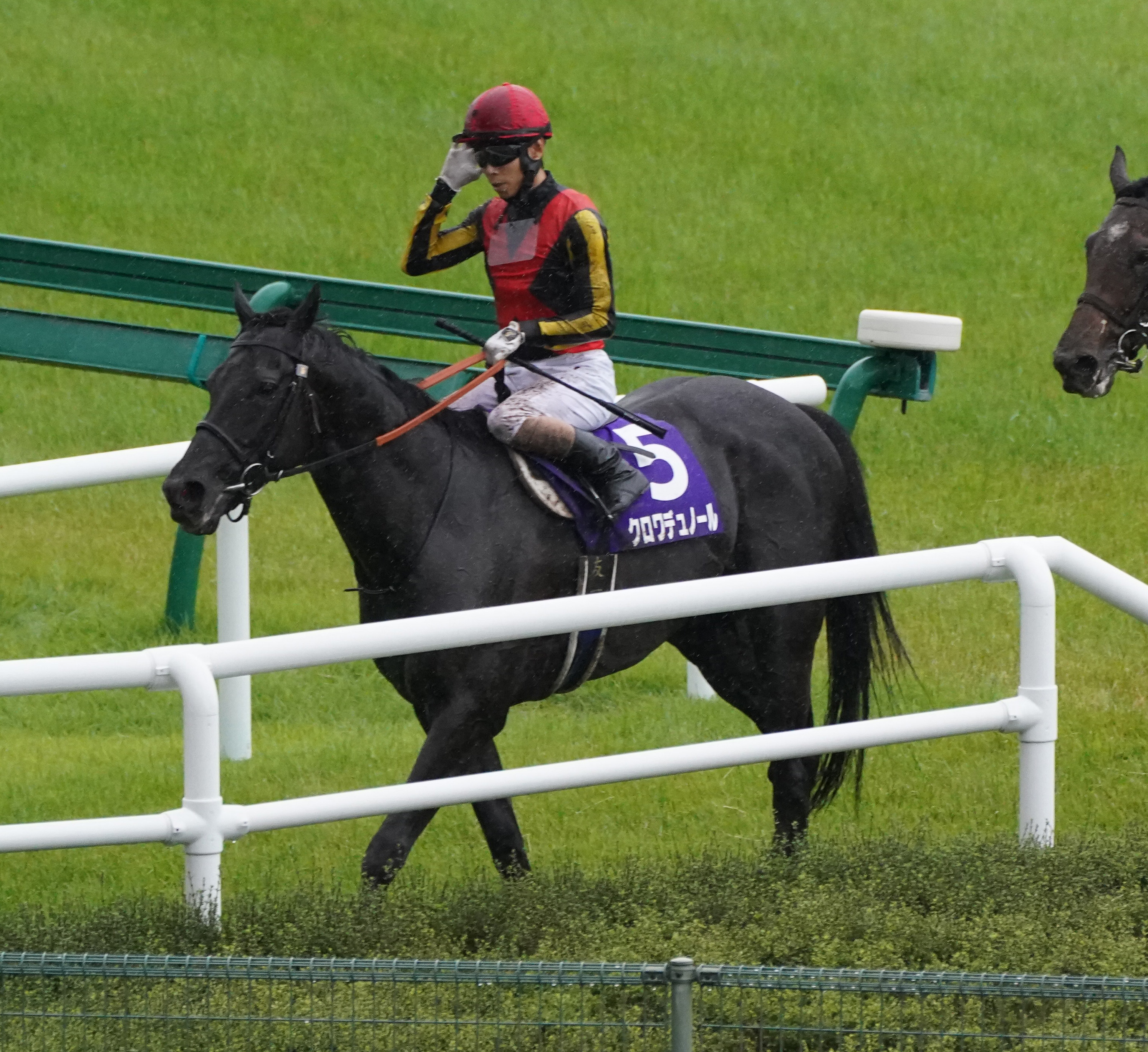 宝塚記念】クロワデュノールはクビ差及ばず2着 北村友一騎手「勝った馬