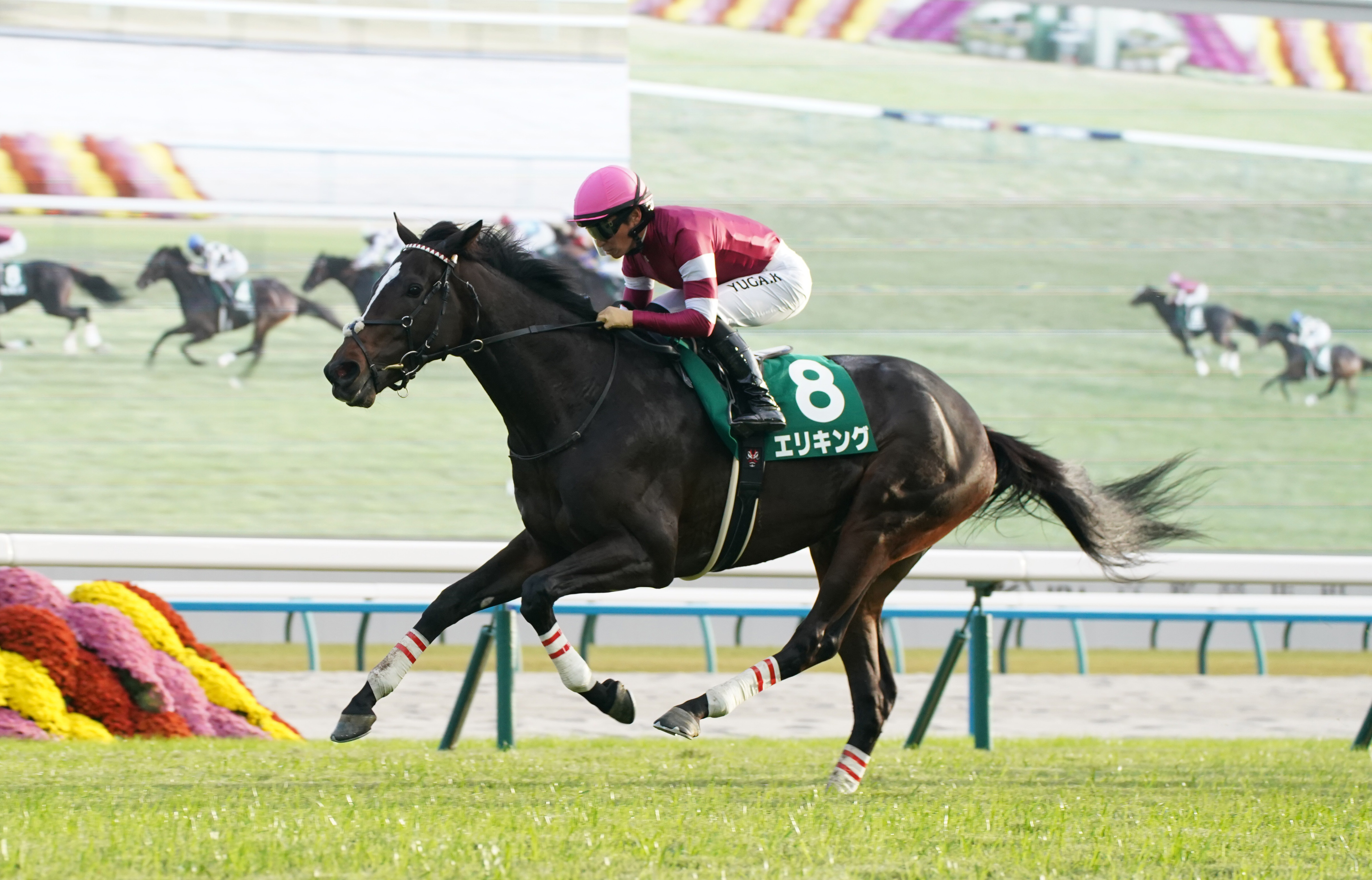 大井競馬場　藤田　凌騎手ゼッケン　第33回 全日本新人王争覇戦第２戦 大井競馬場 藤田 凌騎手ゼッケン 第33回 全日本新人王争覇戦第