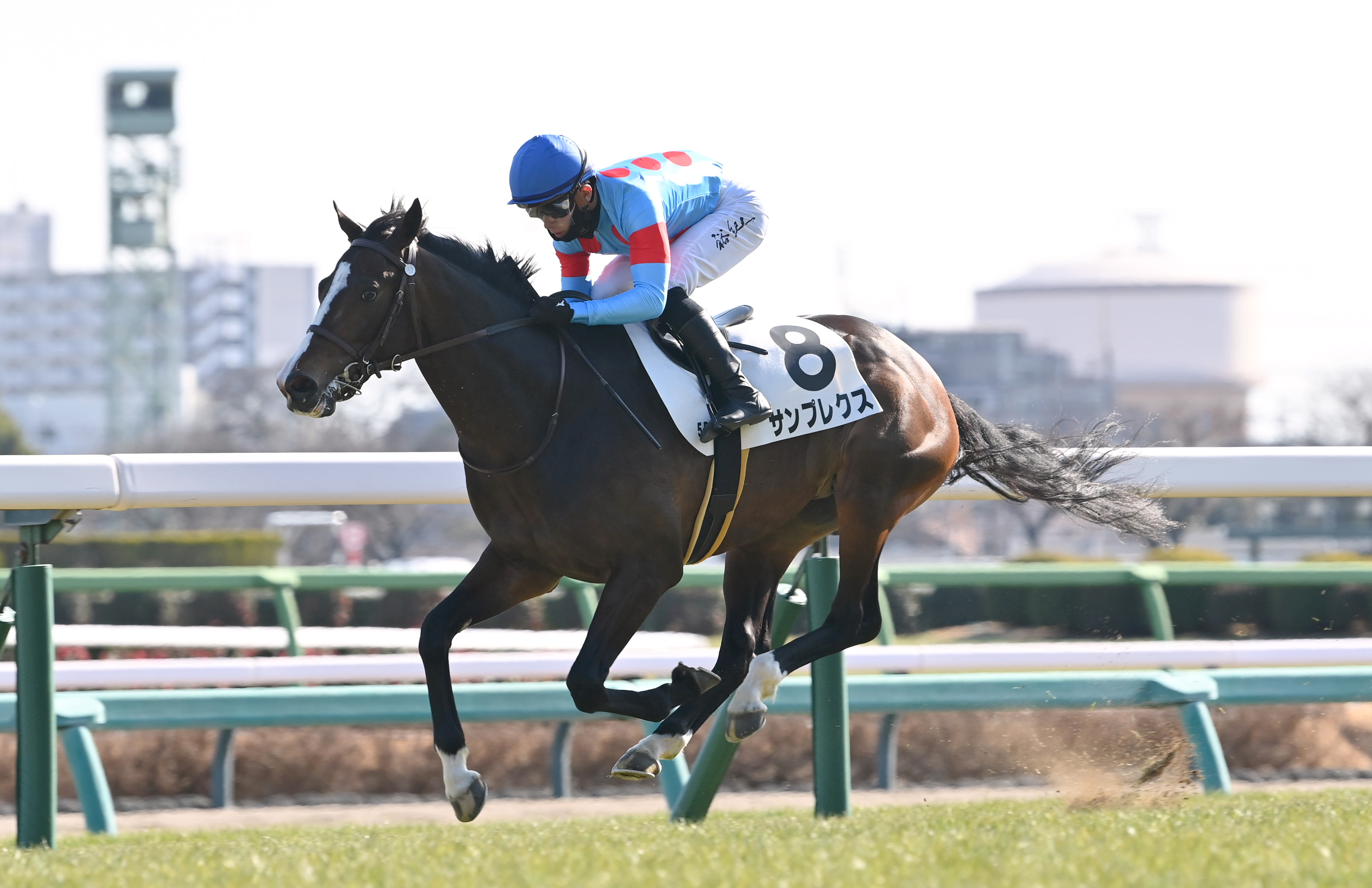3歳新馬・中山5R】サンプレクスが余裕の手応えで完勝！ 石川裕紀人騎手