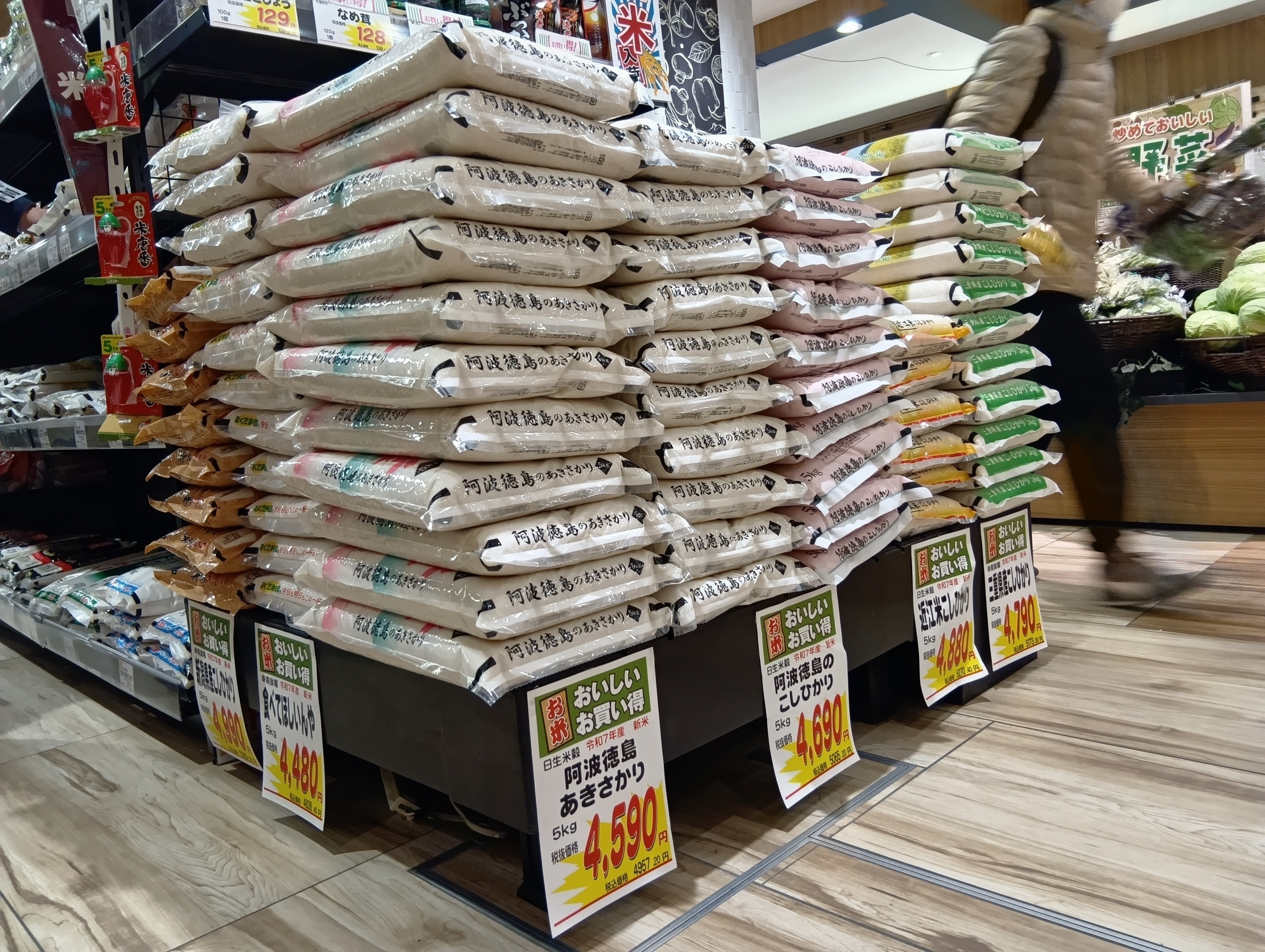 コメ価格「先安観優勢」続く 在庫水準高止まりで指数低下、値下げや