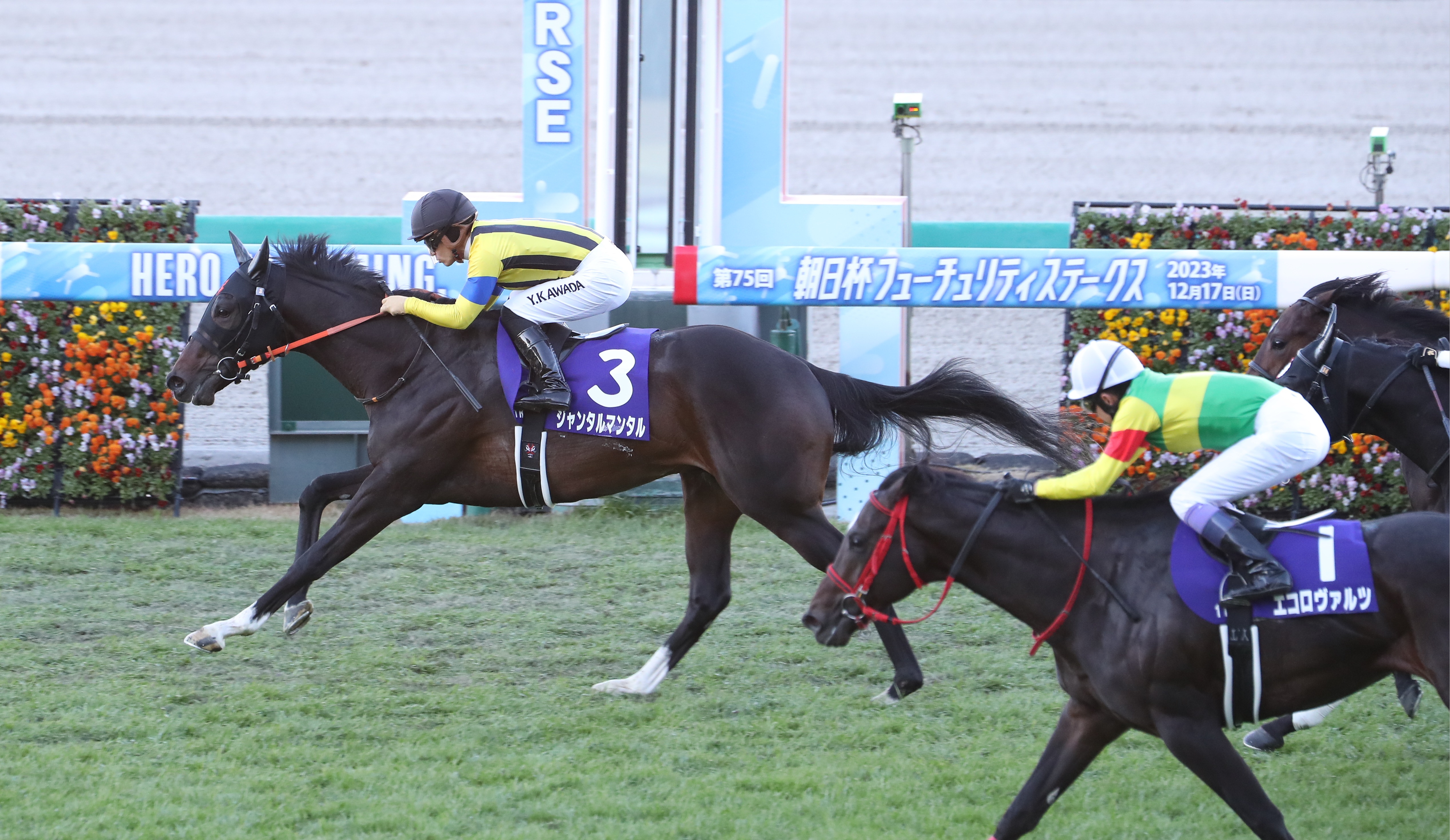 朝日杯ＦＳ】ジャンタルマンタルが早め先頭から押し切りＶ！無傷３連勝