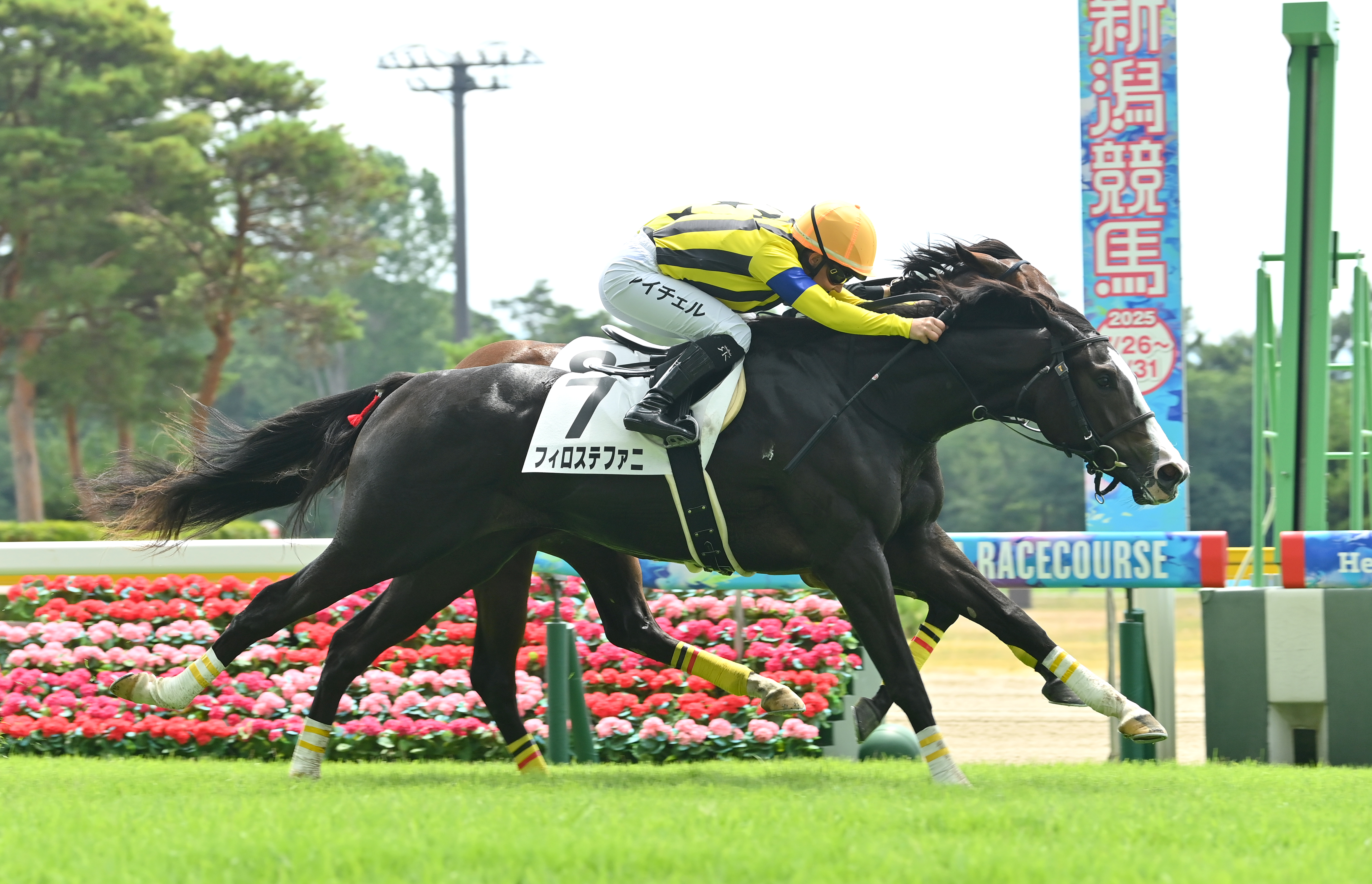 ブロンズ　馬に乗った騎士　戦士　美術工芸 ブロンズ 馬に乗った騎士 戦士 美術工芸