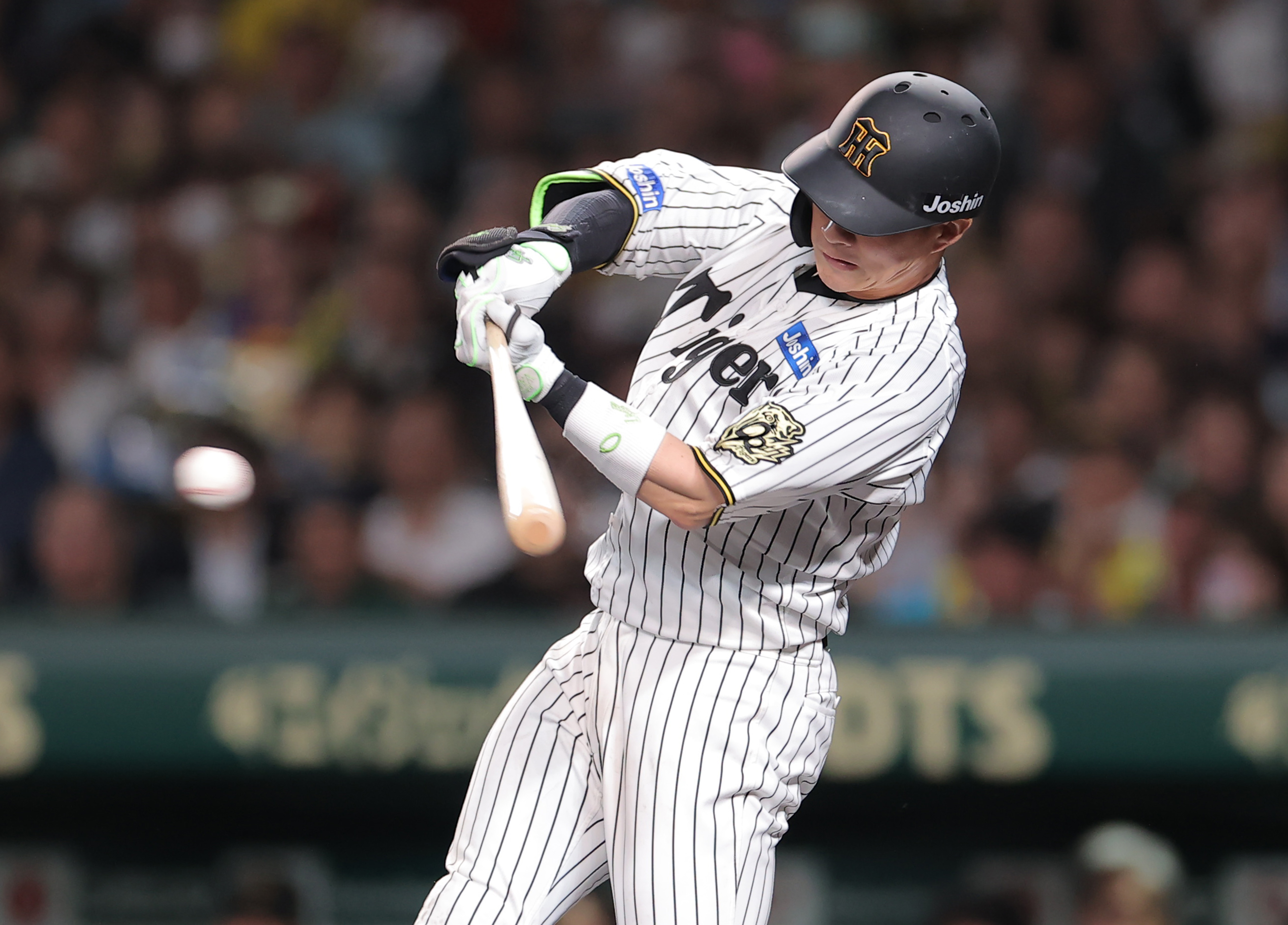 阪神タイガース 木浪聖也選手 使用済みバット ヒビ割れ有り ①