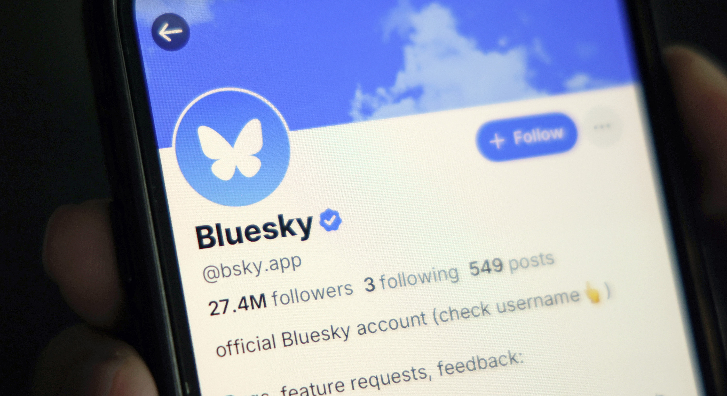 Xの代替SNS「Bluesky」で特定意見が増幅するエコーチェンバー深刻…利用