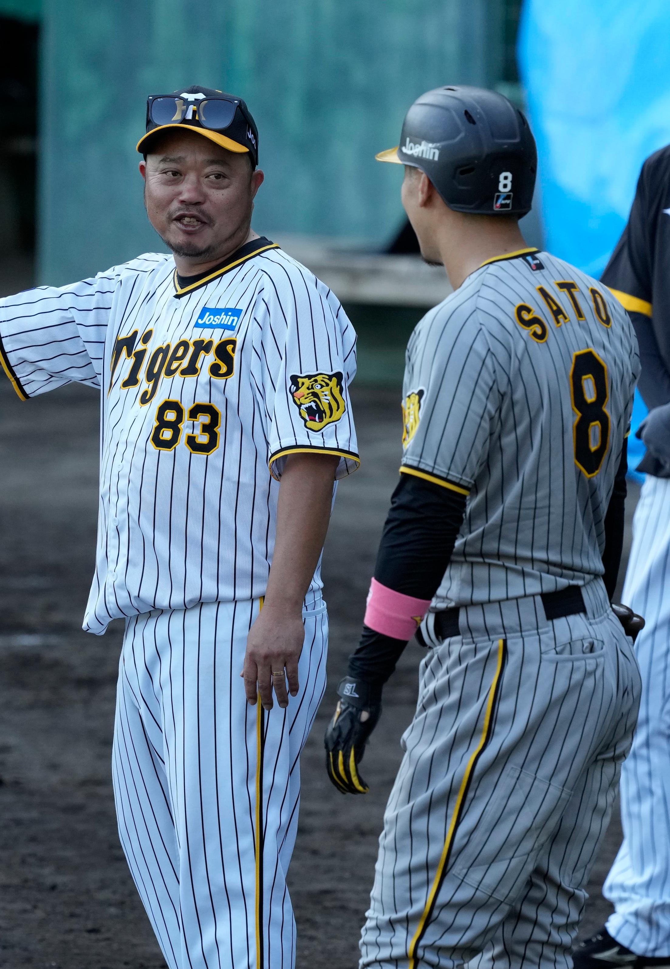 2026年最新ブラックダイナマイトシリーズの人気アイテム - 阪神