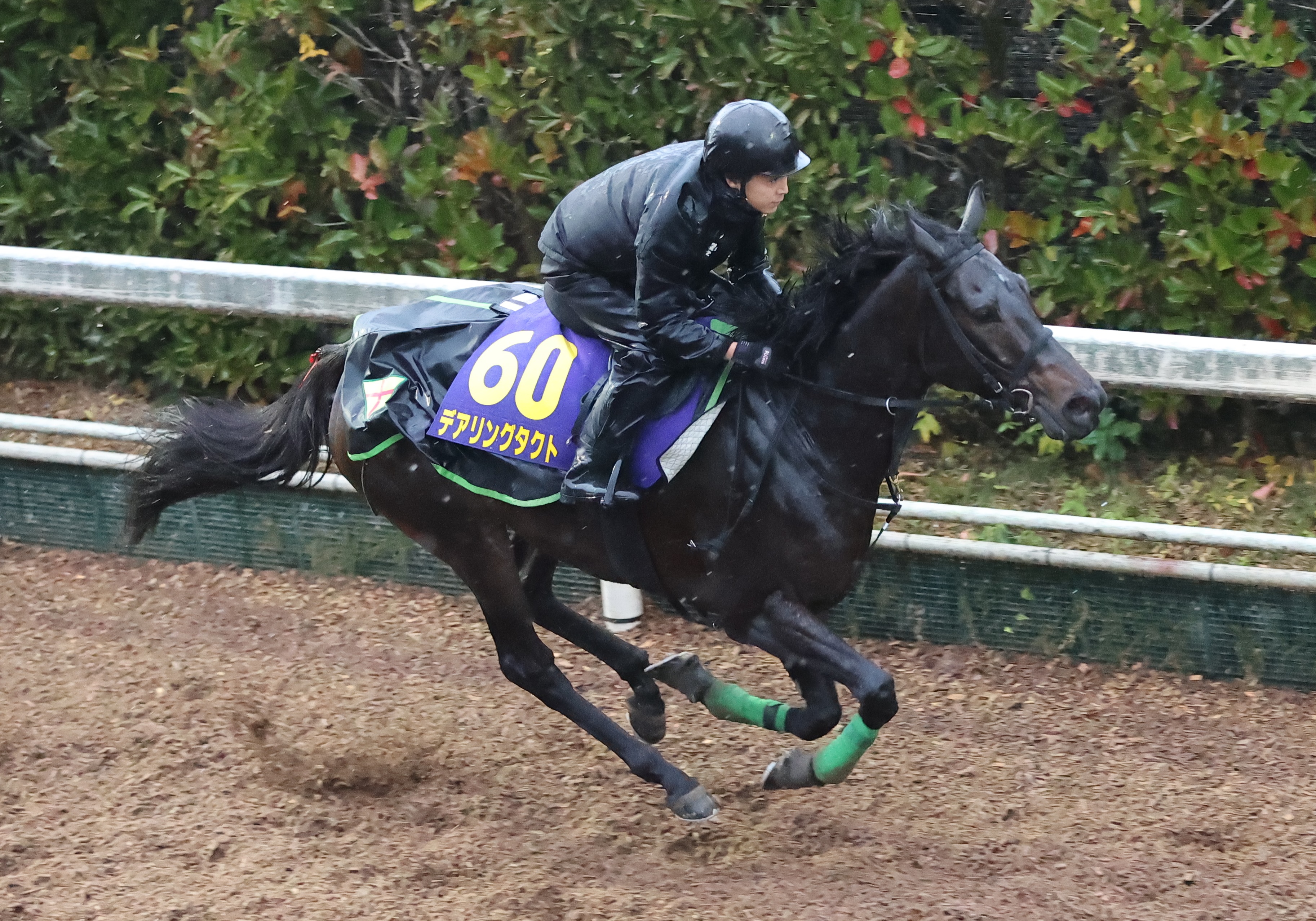 希少！】三冠ジャンパー デアリングタクト コントレイル 2着セット