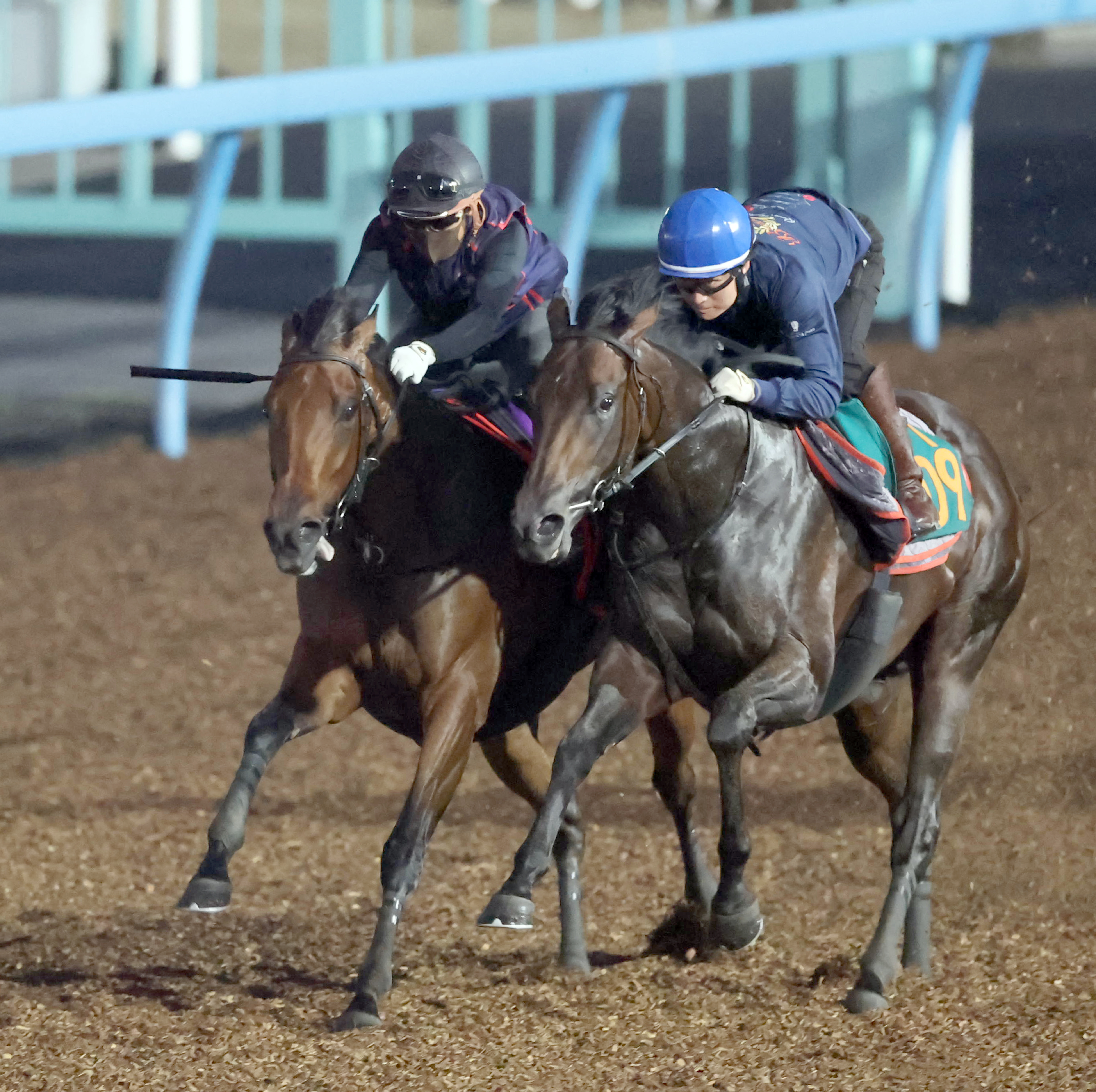 JRAポスター　　レガレイラ 第81回 皐月賞 GⅠポスター | JRA GⅠポスター・ヘッドライン