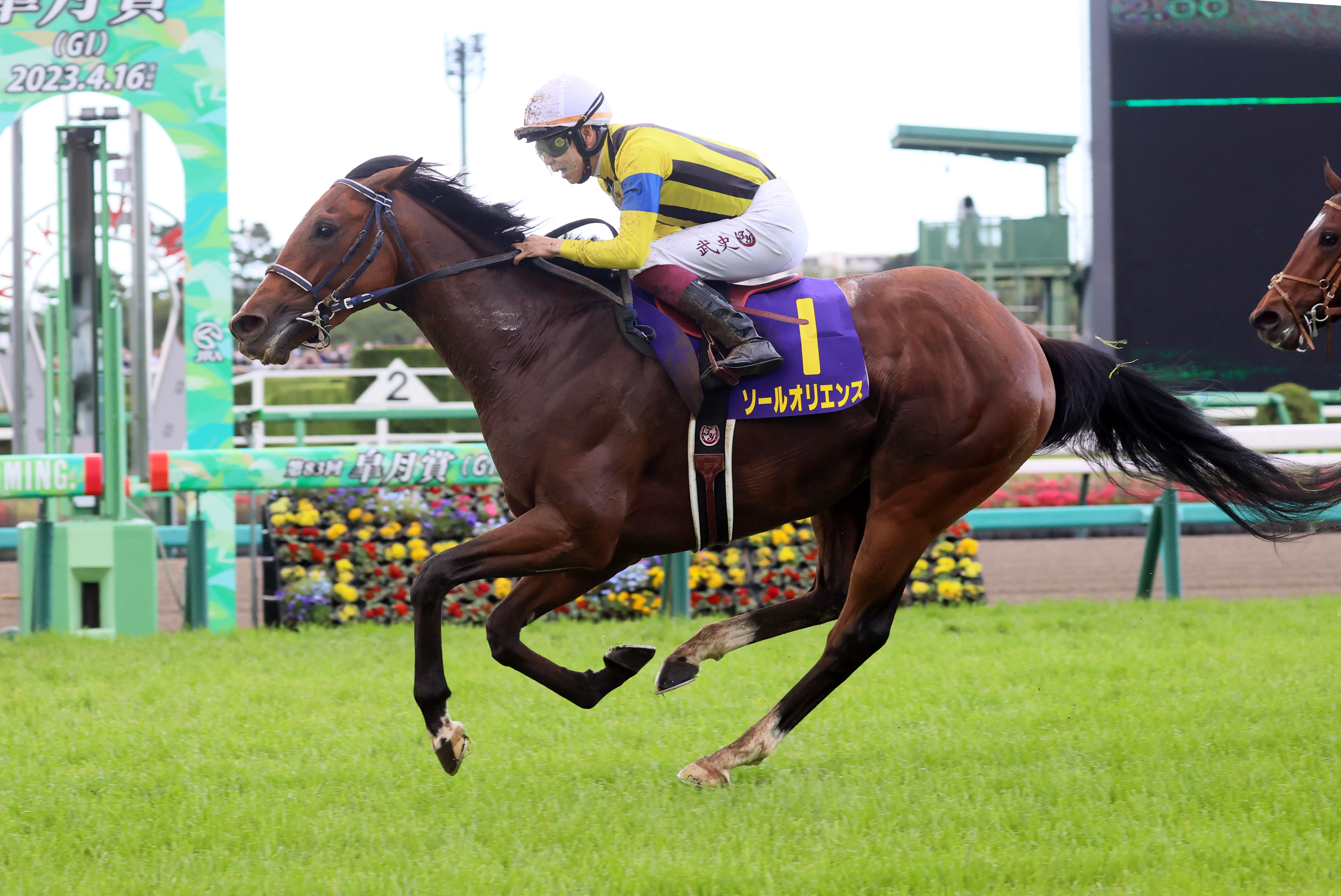 菊花賞の注目点】皐月賞馬ｖｓダービー馬、優勢なのは？ 関東馬は３年