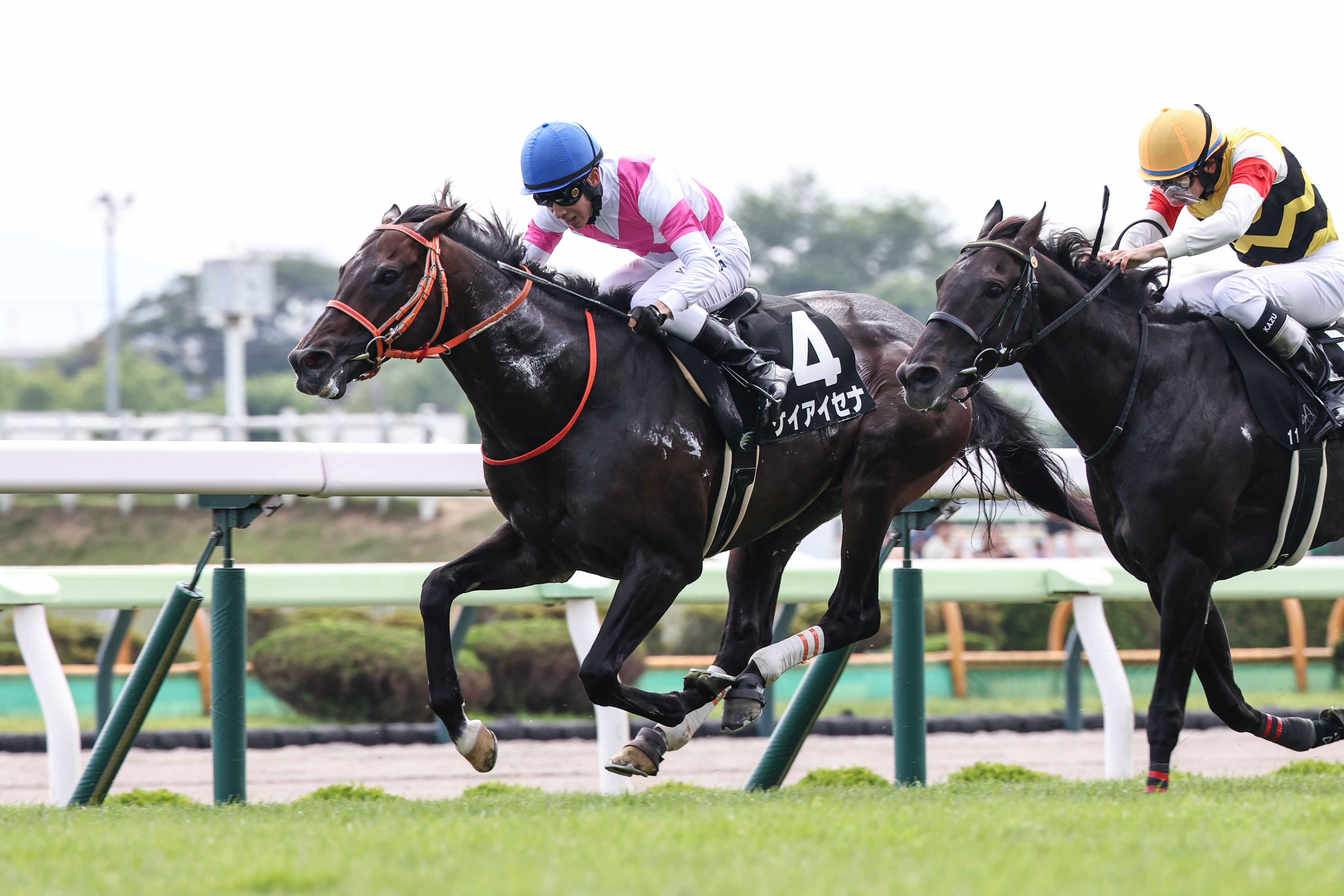 日本に 競馬探偵Xの大正解: 2010年秋冬&2011年金杯までの予想