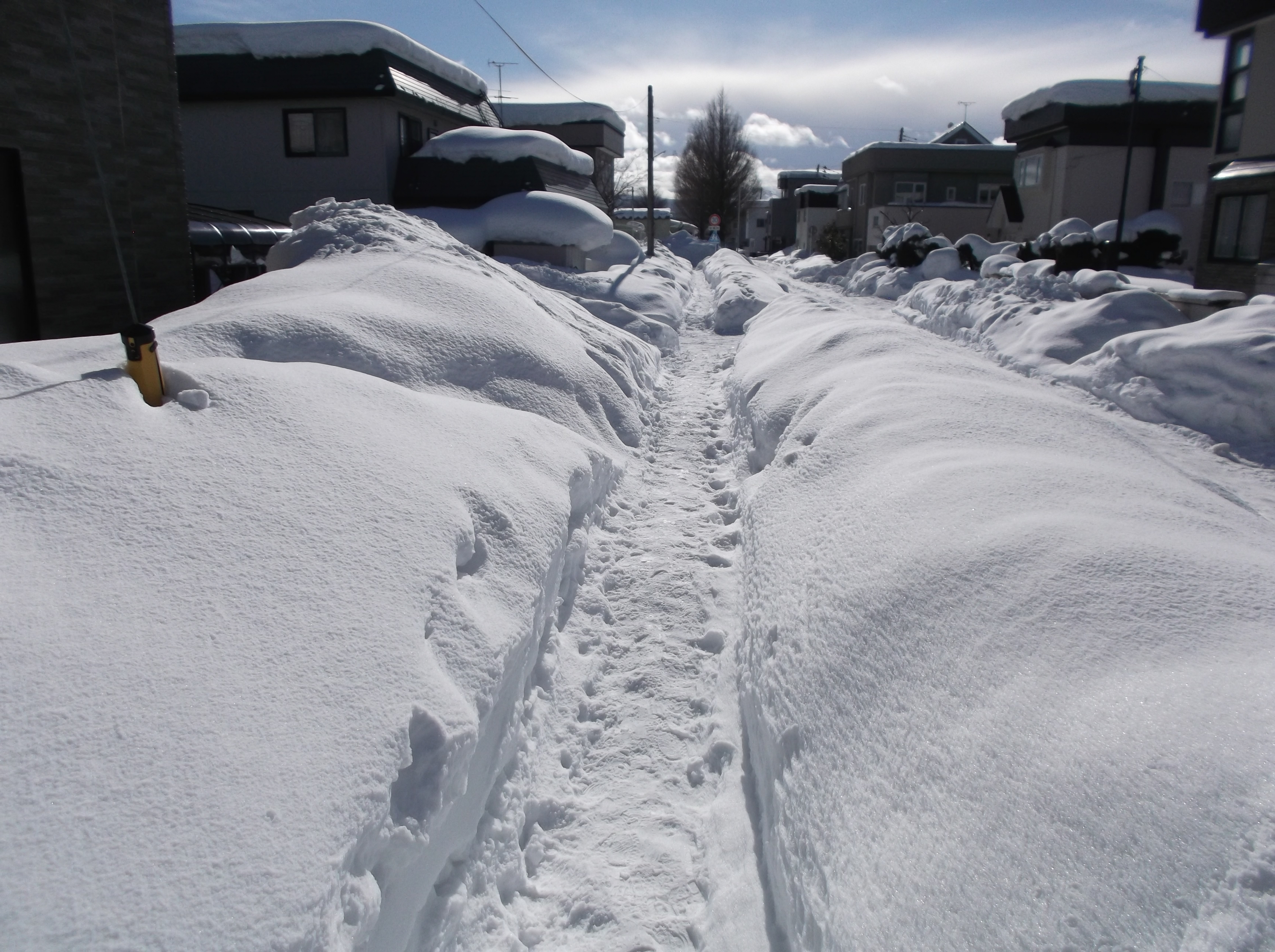 災害級の大雪」青森の宮下知事が危機感 雪害事故相次ぎ死者7人 住民 災害級の大雪」青森の宮下知事が危機感 雪害事故相次ぎ死者7人 住民