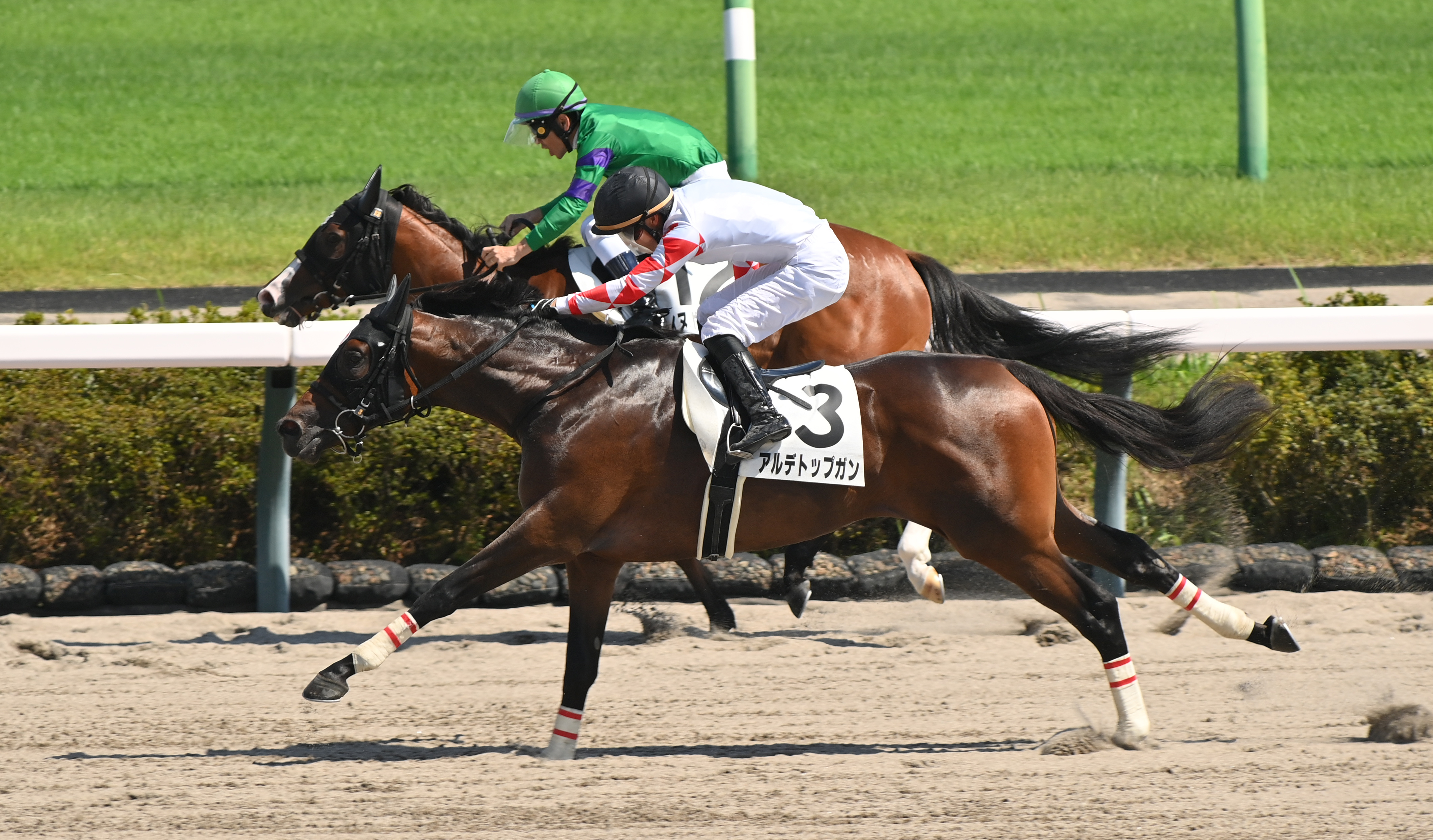 2歳新馬・中山6R】アルデトップガンが鮮やか直線一気！ 菅原明良