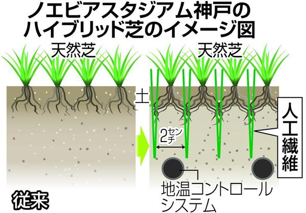 スポーツの現場 スタジアムの芝がフルシーズンで緑に ノエスタ神戸で実験進む ハイブリッド芝 ラグビーｗ杯で本格導入も 1 3ページ 産経ニュース