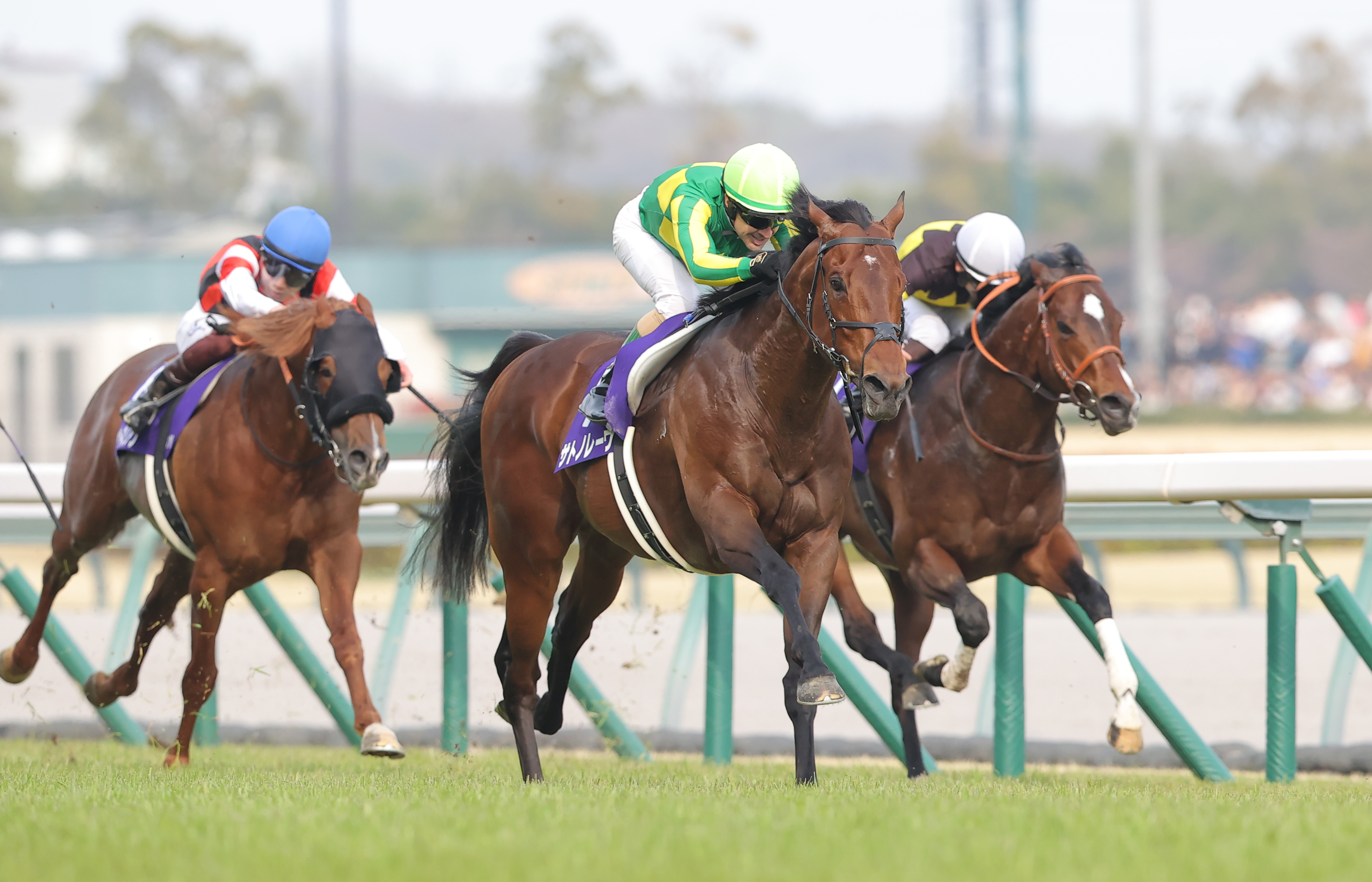 高松宮記念】サトノレーヴ史上2頭目連覇 10年ぶりレースレコード