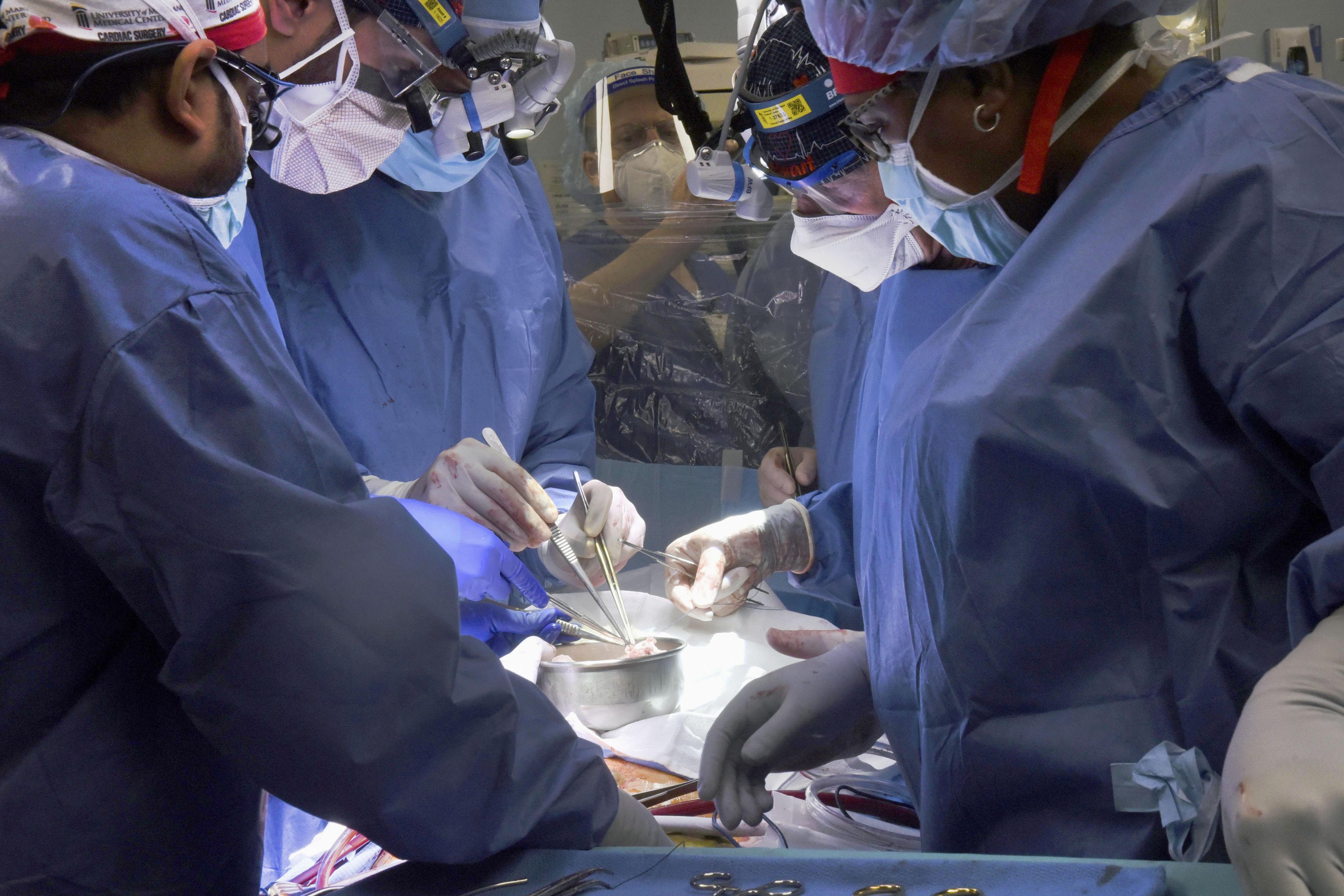 甘口辛口 心臓病の男性にブタの心臓 現状では同種移植までの つなぎ ドナー登録を真剣に考える機会にしたい サンスポ