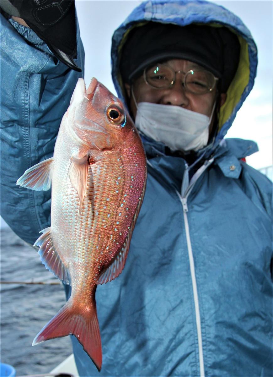 ハナダイ好調トップ２０ ４０尾 お正月の膳に コマセシャクリで狙う 外房 片貝沖 サンスポ