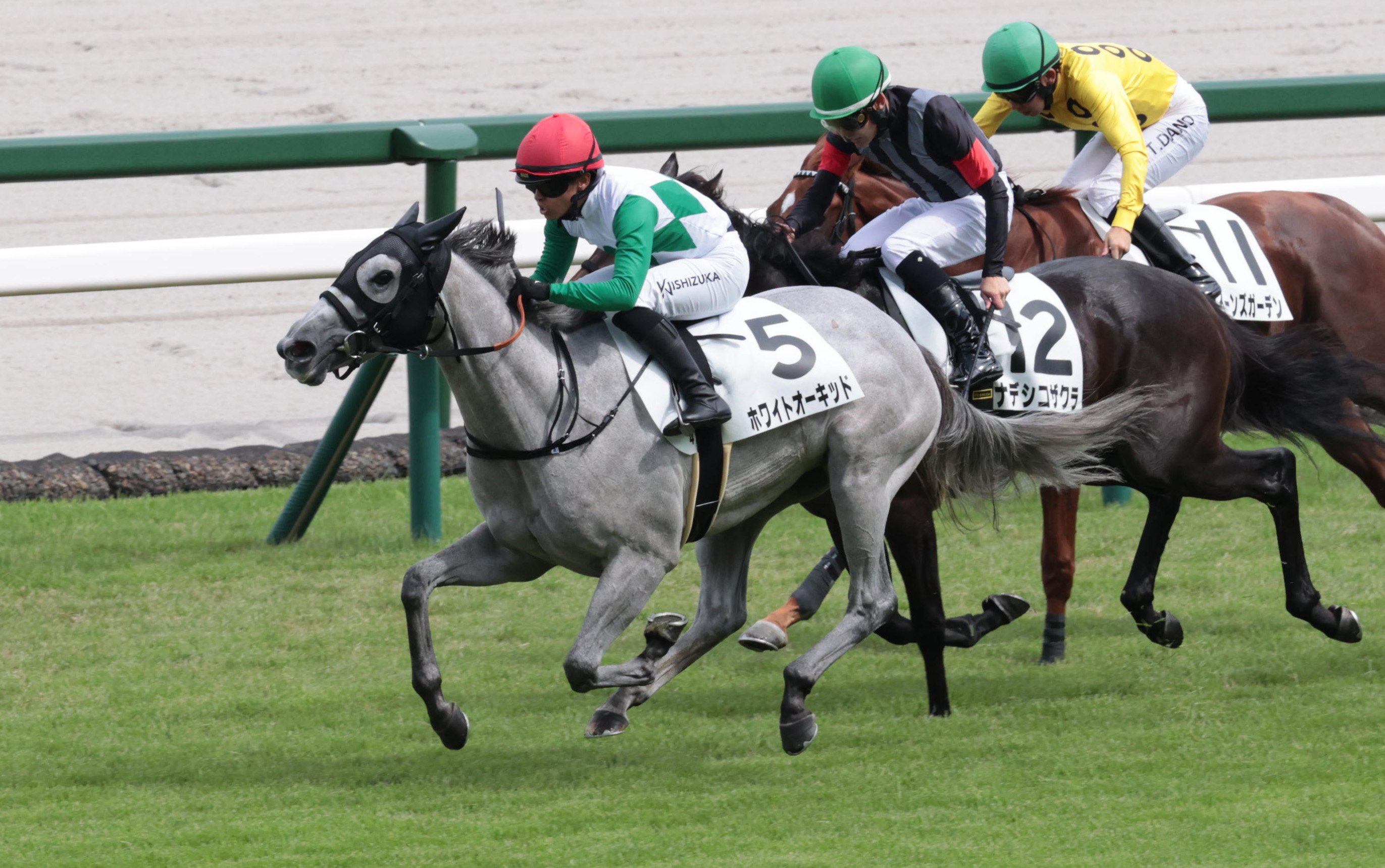 2歳新馬・阪神4R】ホワイトオーキッドが中団から差し切り初陣V 西塚