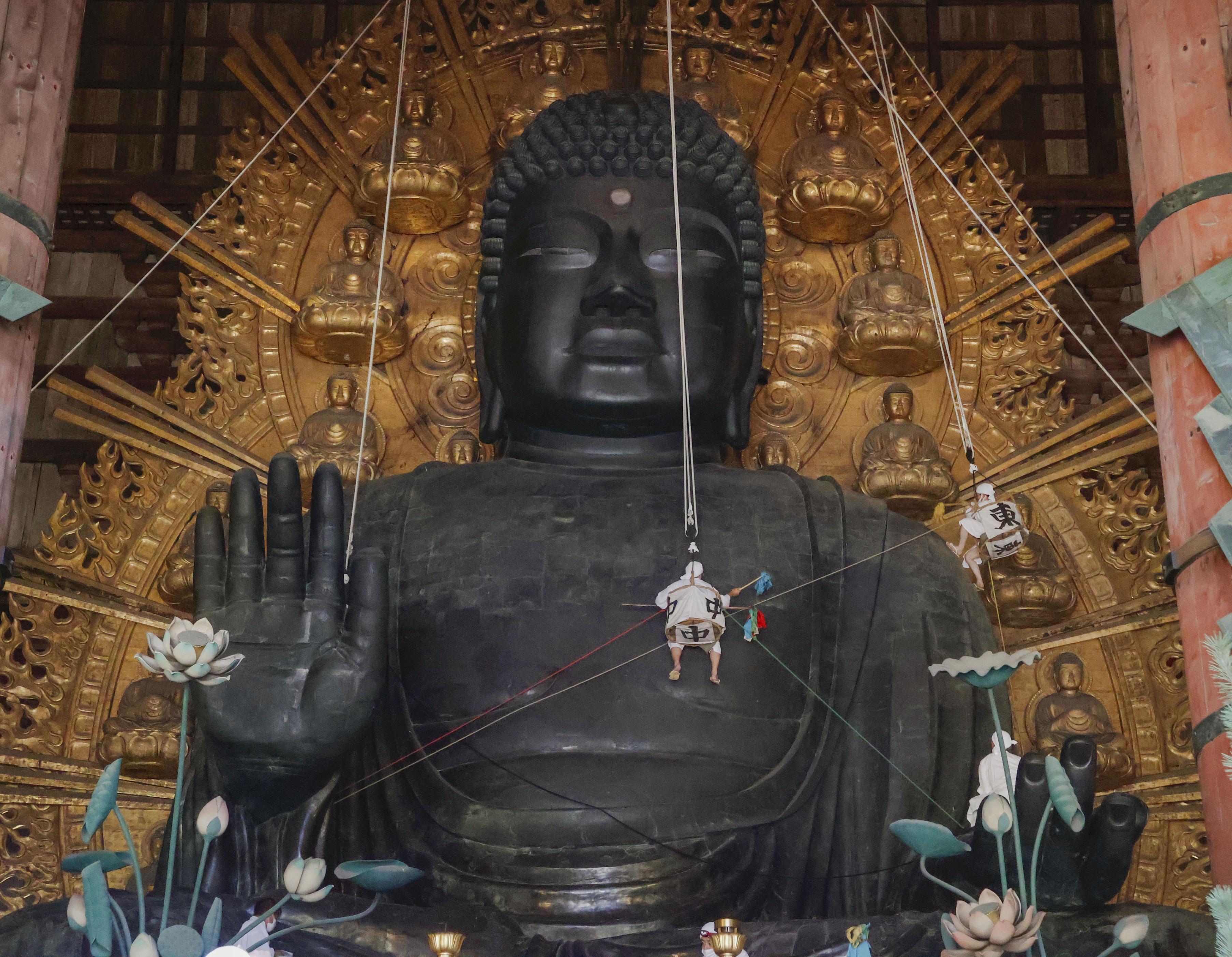 奈良の大仏、夏にすっきり 年1度の「お身拭い」 - サンスポ