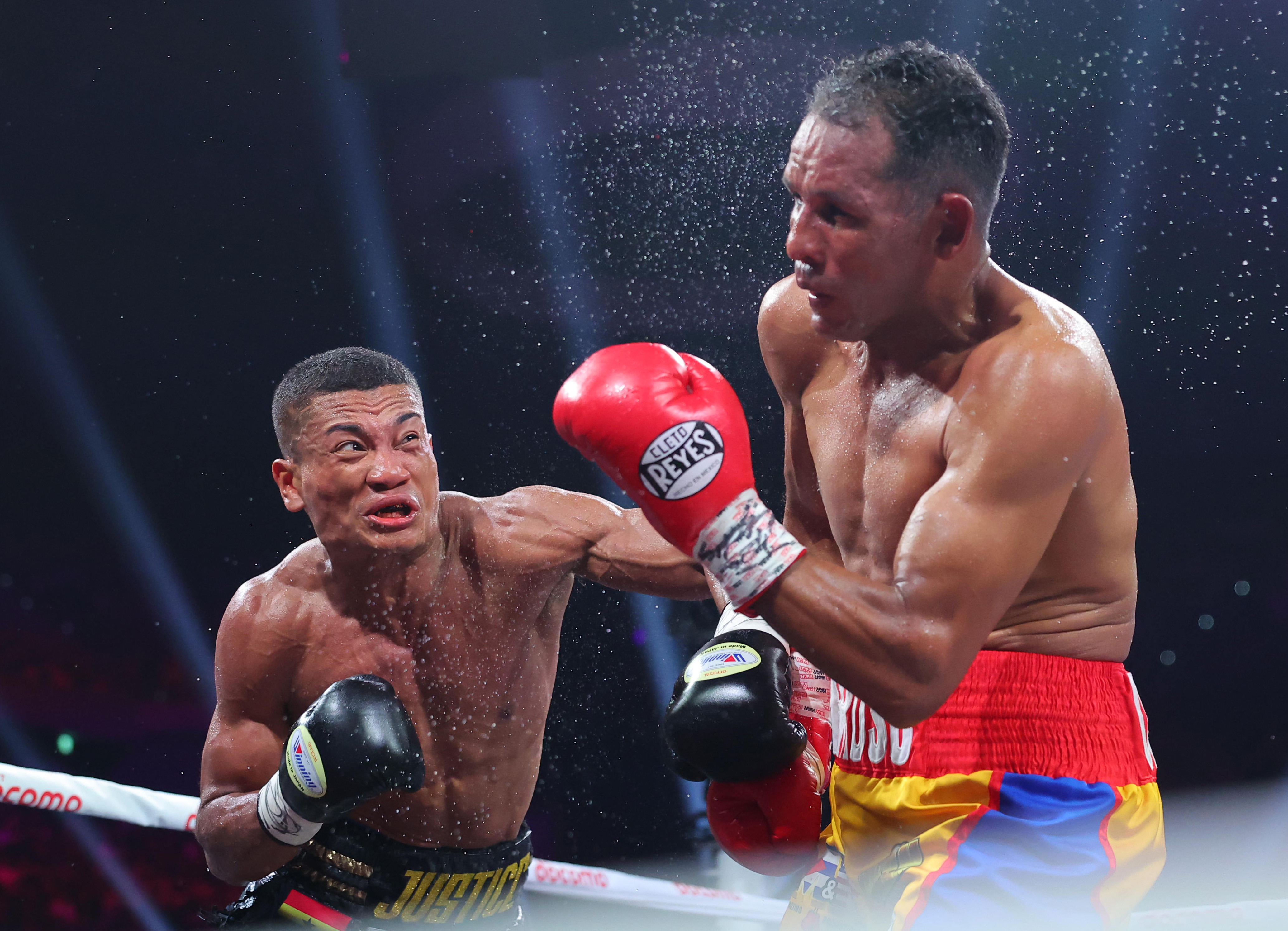 ボクシング】畑山隆則氏「1年ぐらいのブランクなんかどうって