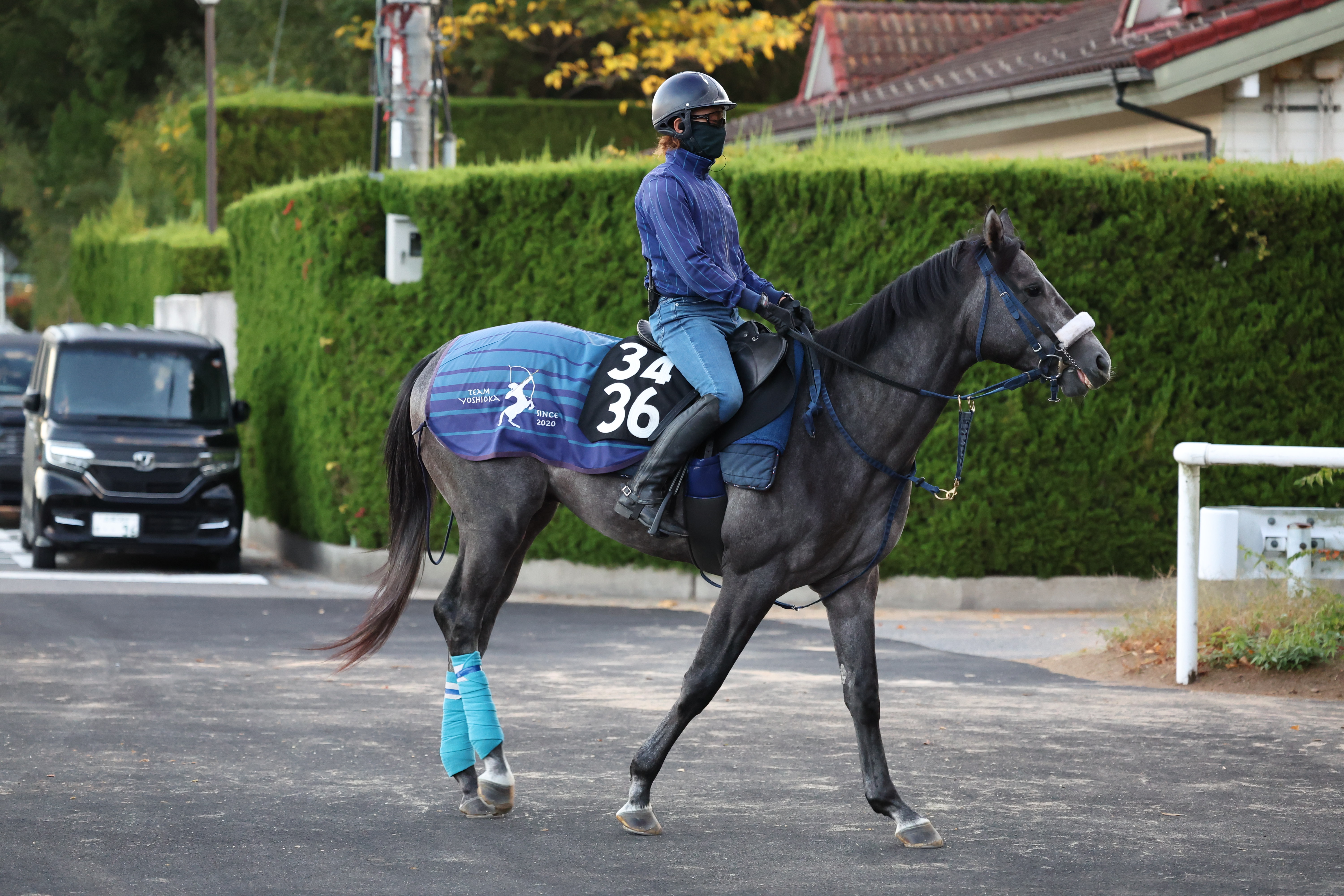 今日の注目新馬】ナルキッソス万全の態勢 半兄は短距離6勝