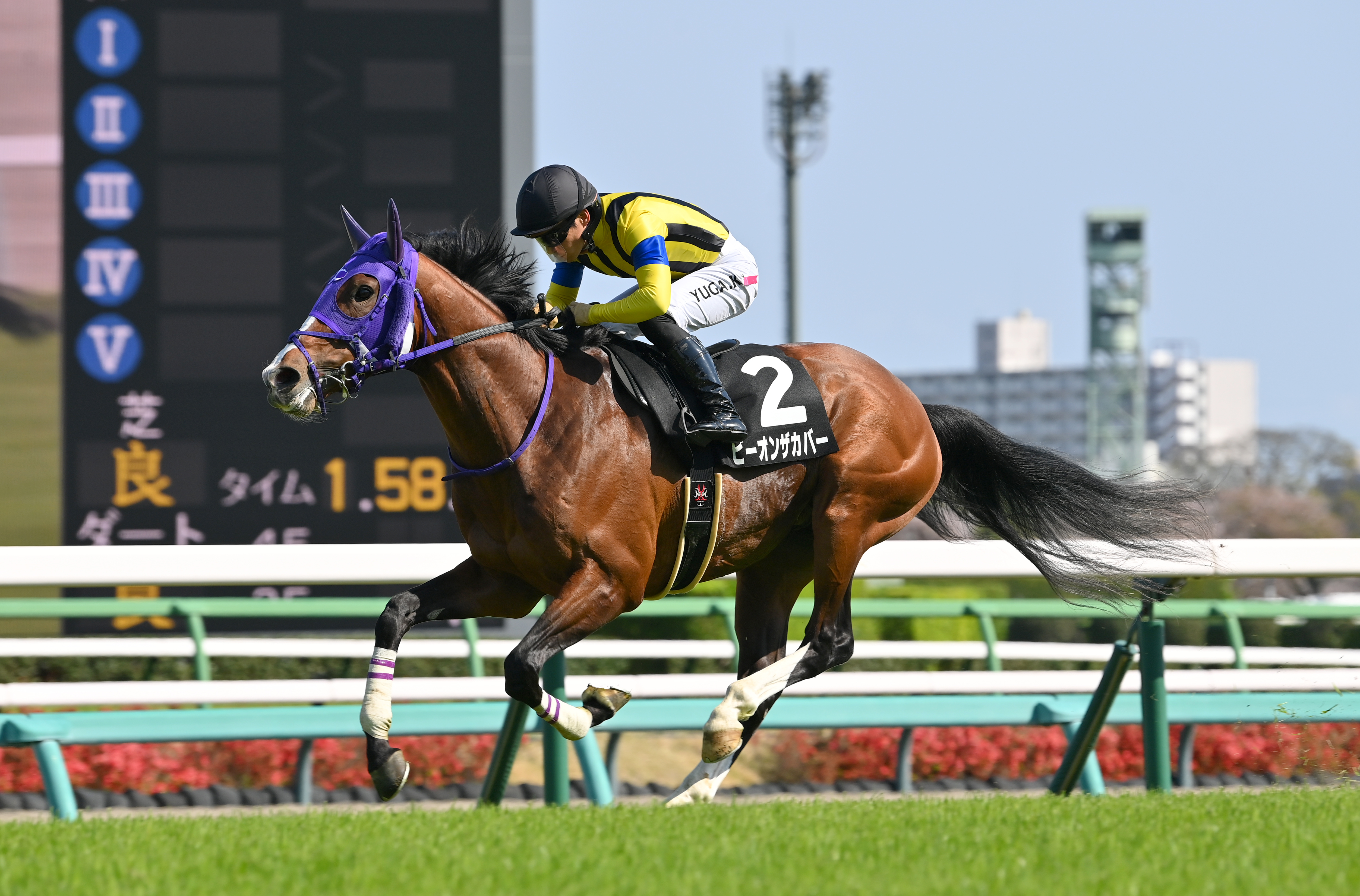 今週の注目点】ハービンジャー＆オルフェーヴル産駒がJRA全10場重賞