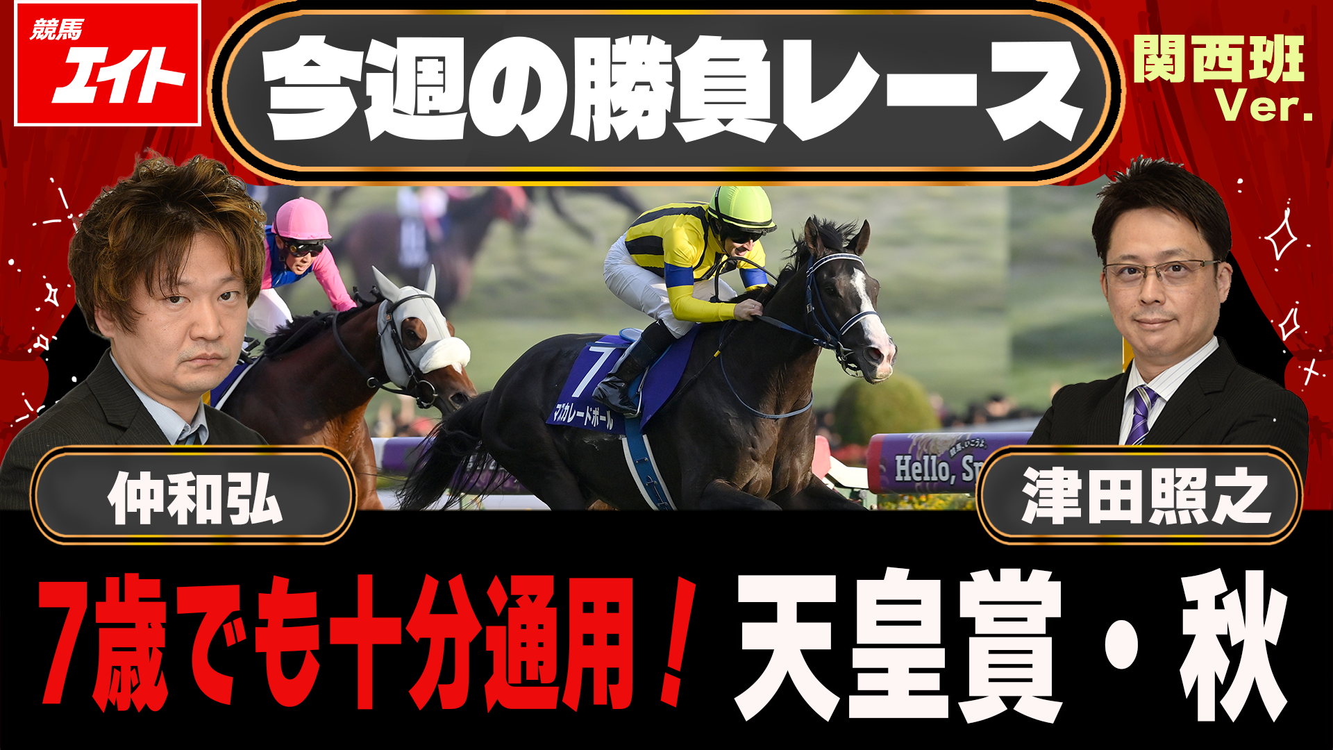 今週のレース