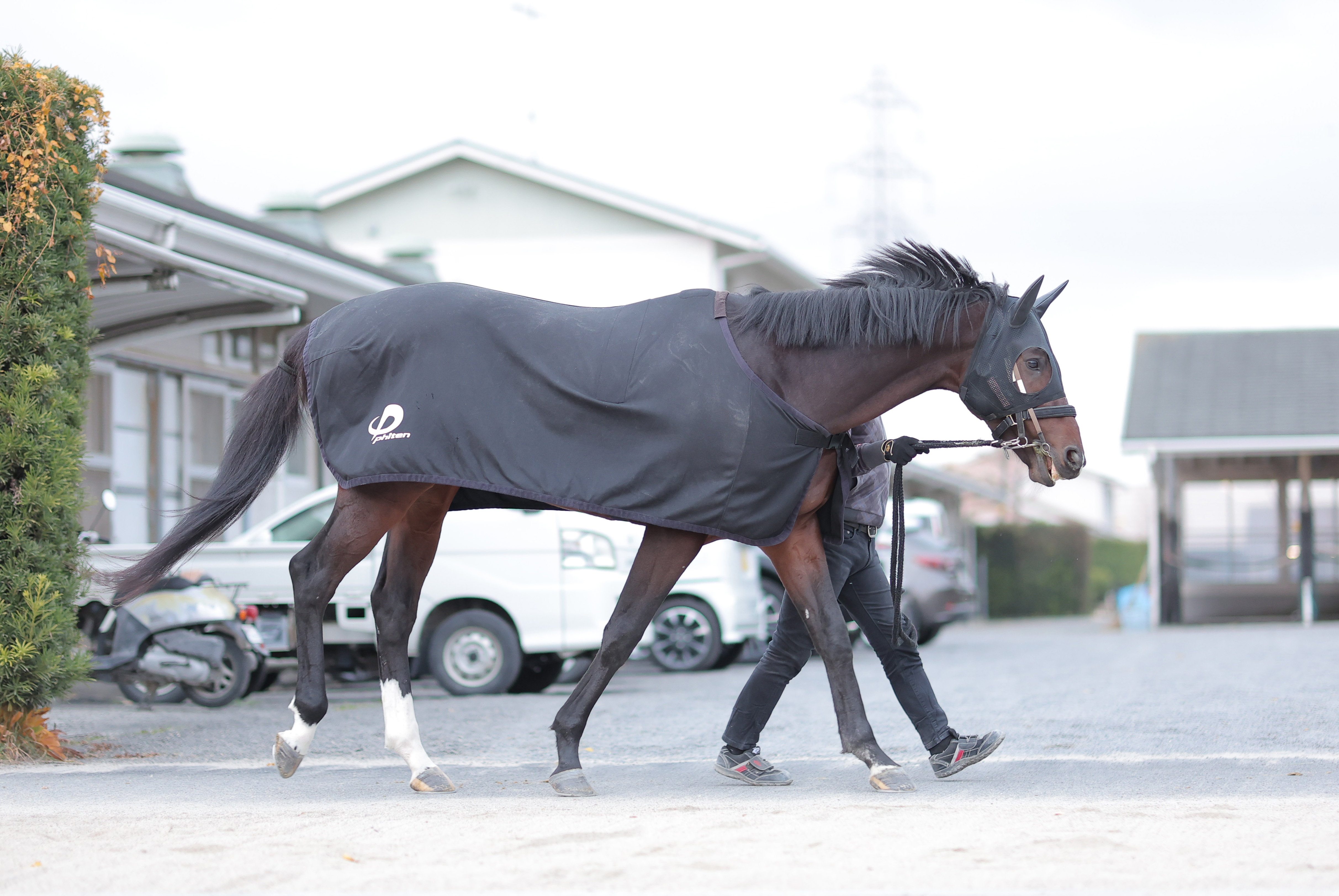 ラムジェットは④枠7番 競馬チャンピオンズカップ枠順発表 - 産経ニュース