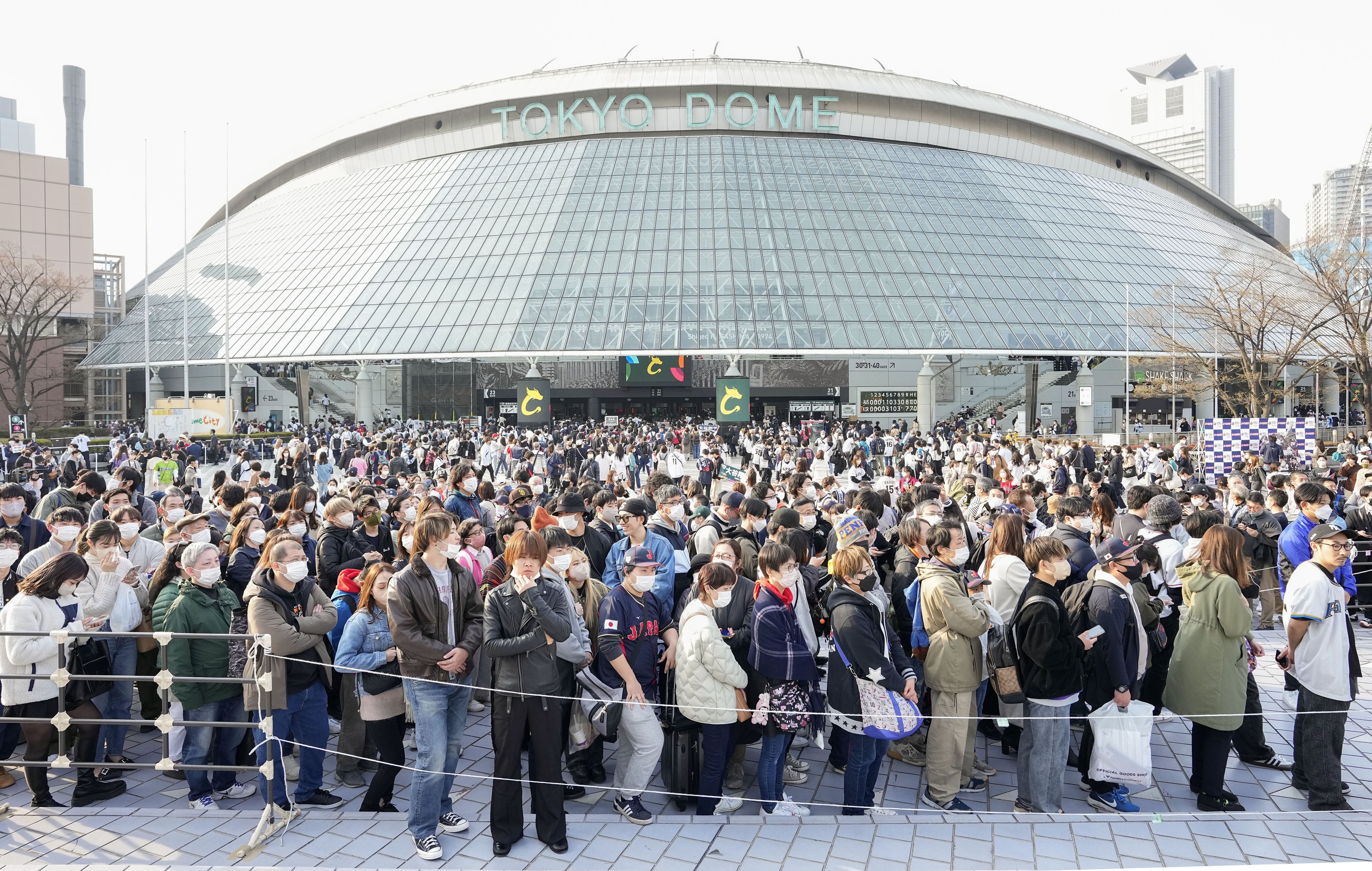 争奪戦必至のＷＢＣグッズが買える〝穴場〟あり！？ もはや社会現象