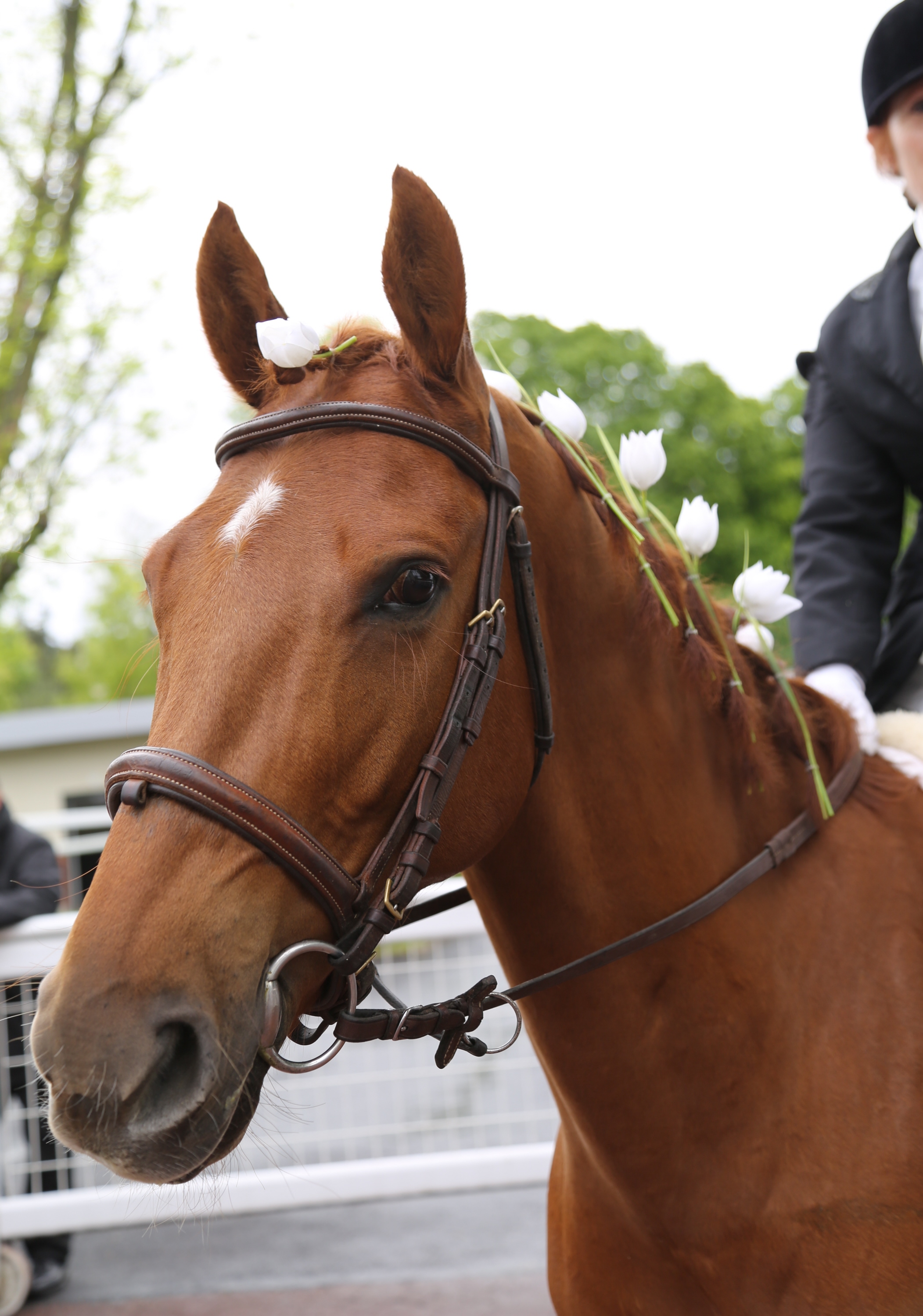 沢田康文の欧州競馬リポート】メーデーに行われるミュゲ賞 来場者にも