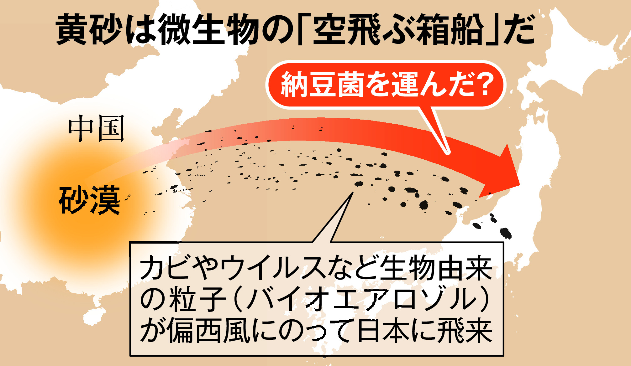 納豆文化は黄砂の恩恵？ 近大教授がオリジナル納豆開発 納豆菌は立山連峰から採取 おおさかラボ - 産経ニュース