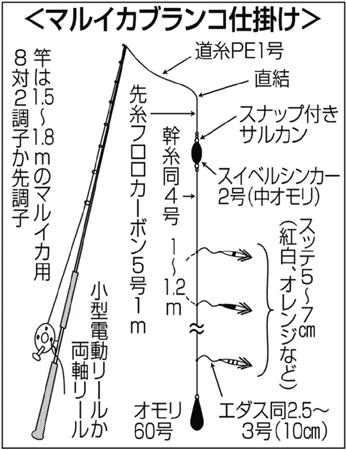 マルイカ ブランコ仕掛けで二重マル 今季は好発進でビギナーもチャンス 2 3ページ サンスポ