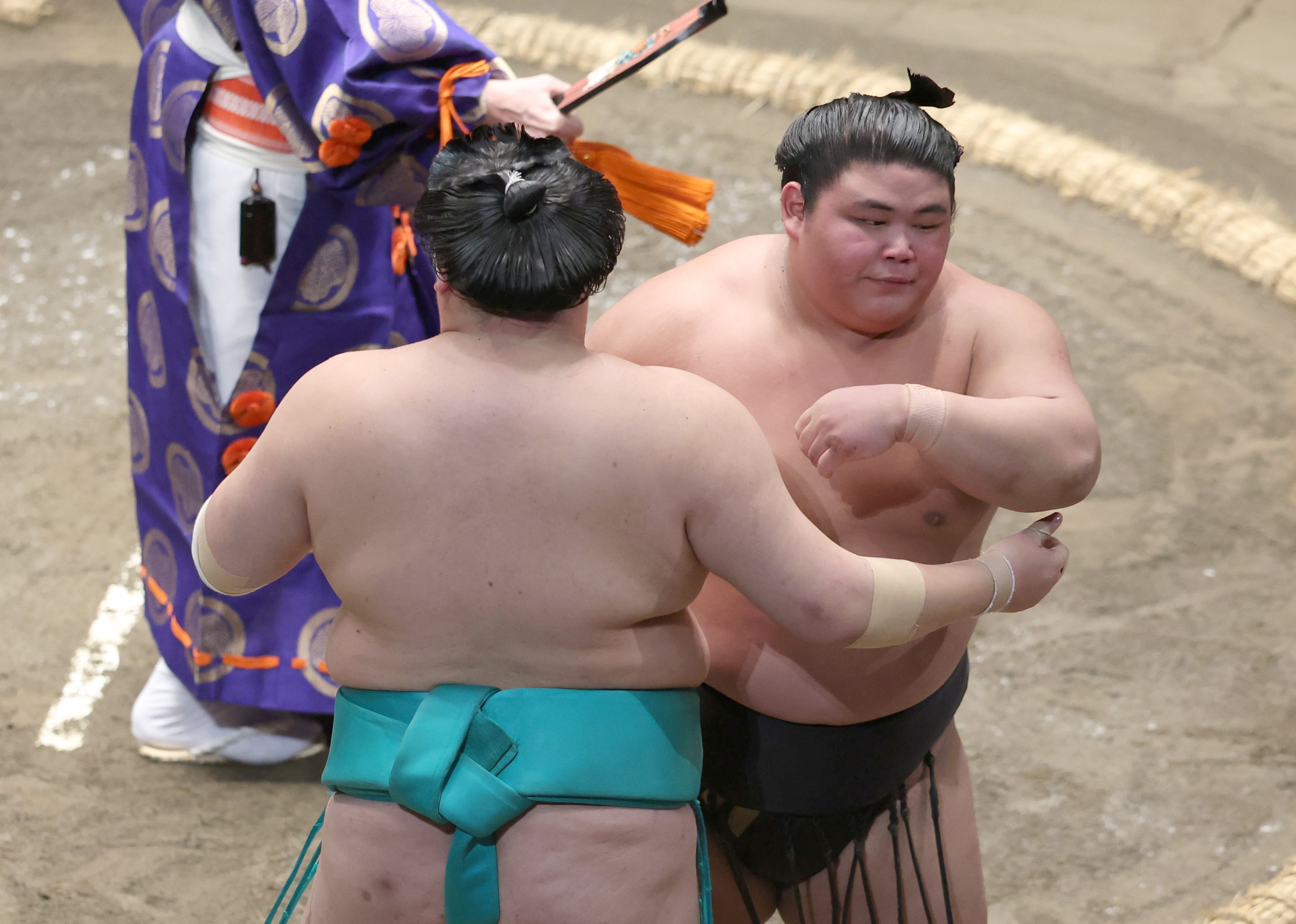 ミカミです。尊富士 伯桜鵬 2点 maxresdefault.jpg