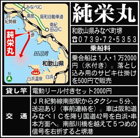 ブリ９４センチ キターッ 何が来るかわからない 落とし込み釣り 関西フィッシング 1 2ページ サンスポ