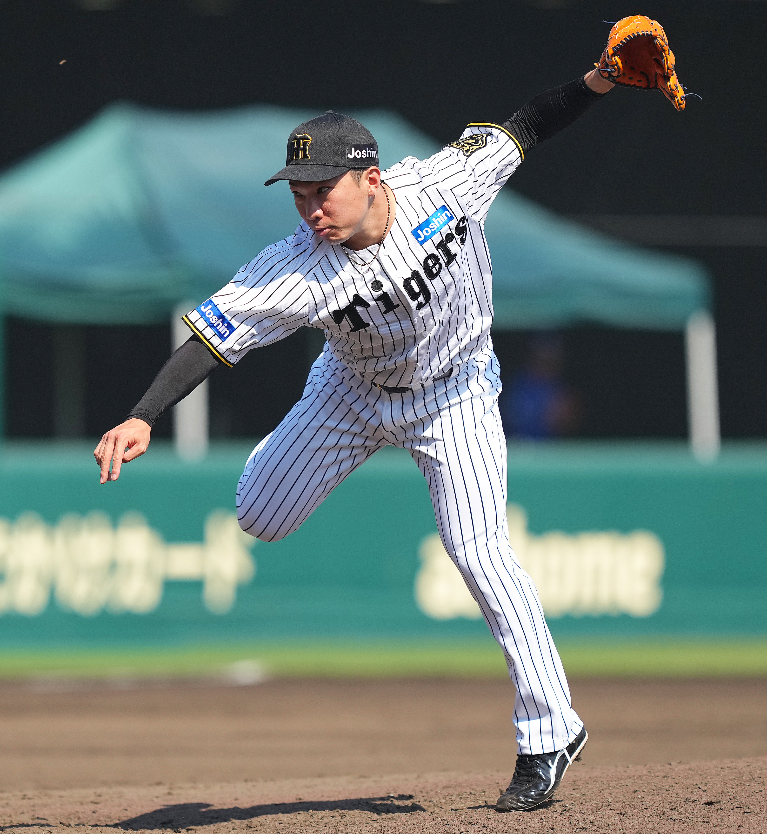 【阪神タイガース】石井大智 直筆サイン入りボール(NPB統一試合球) 阪神タイガース】石井大智 直筆サイン入りボール(NPB統一試合球)
