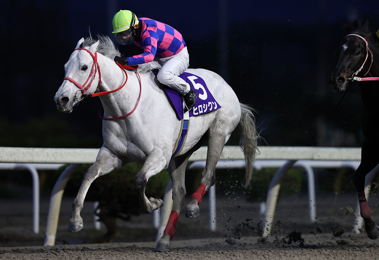 水沢・赤松杯】ヒロシクンが逃げ切り重賞4勝目 年度代表馬フジ