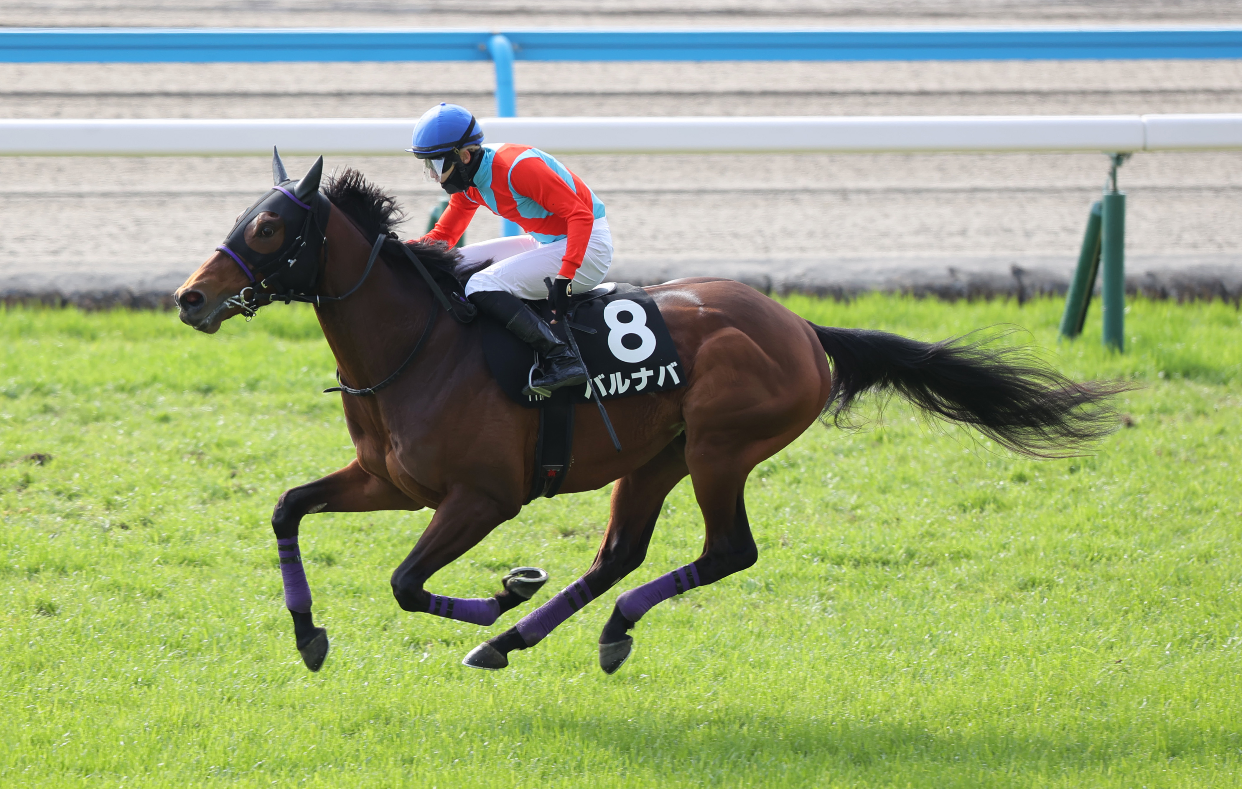 東西記者 今週の狙い馬】レースぶりが安定 小回りも得意なバルナバに