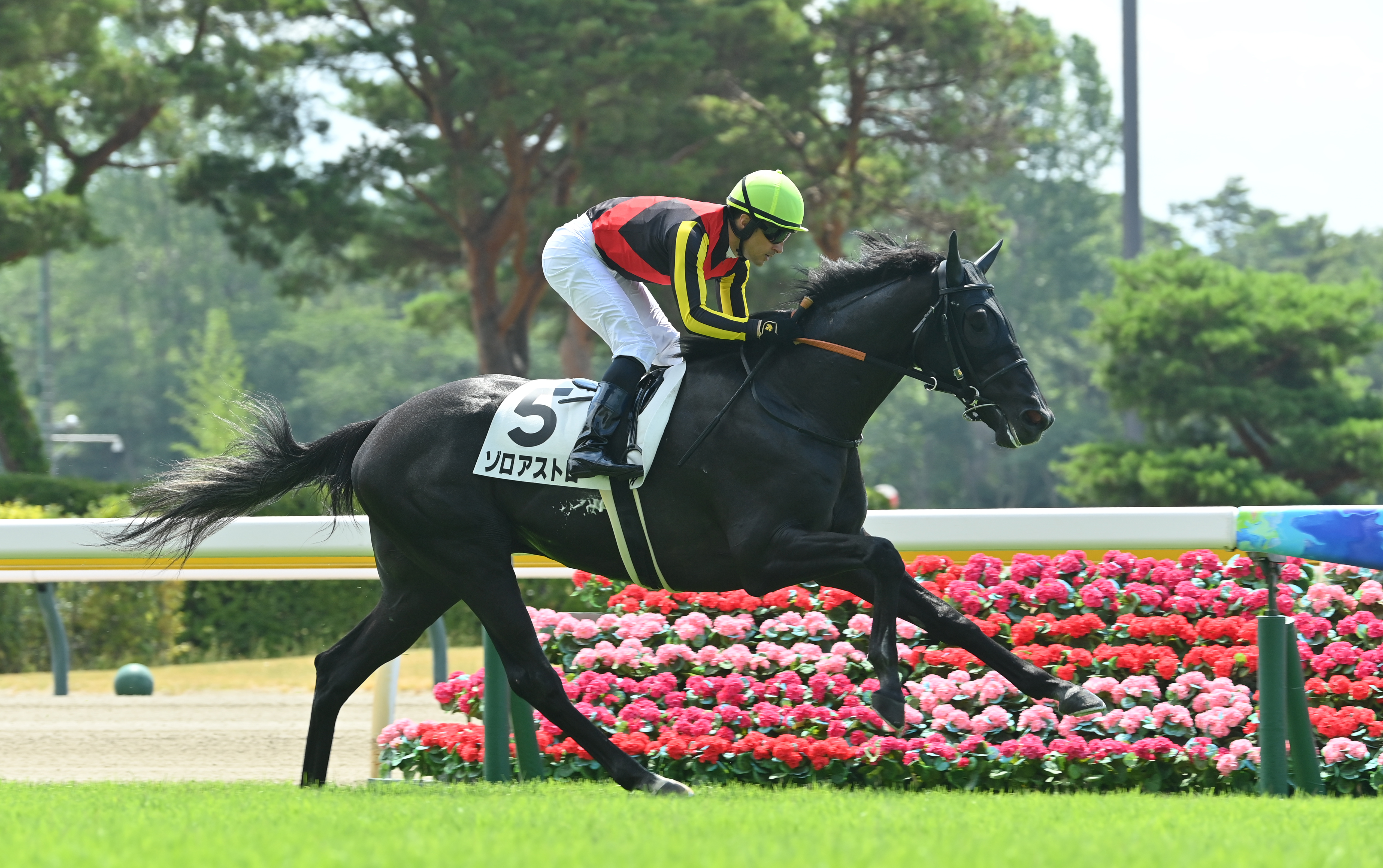 合う馬 MX_Snap_20180327_205629.jpg