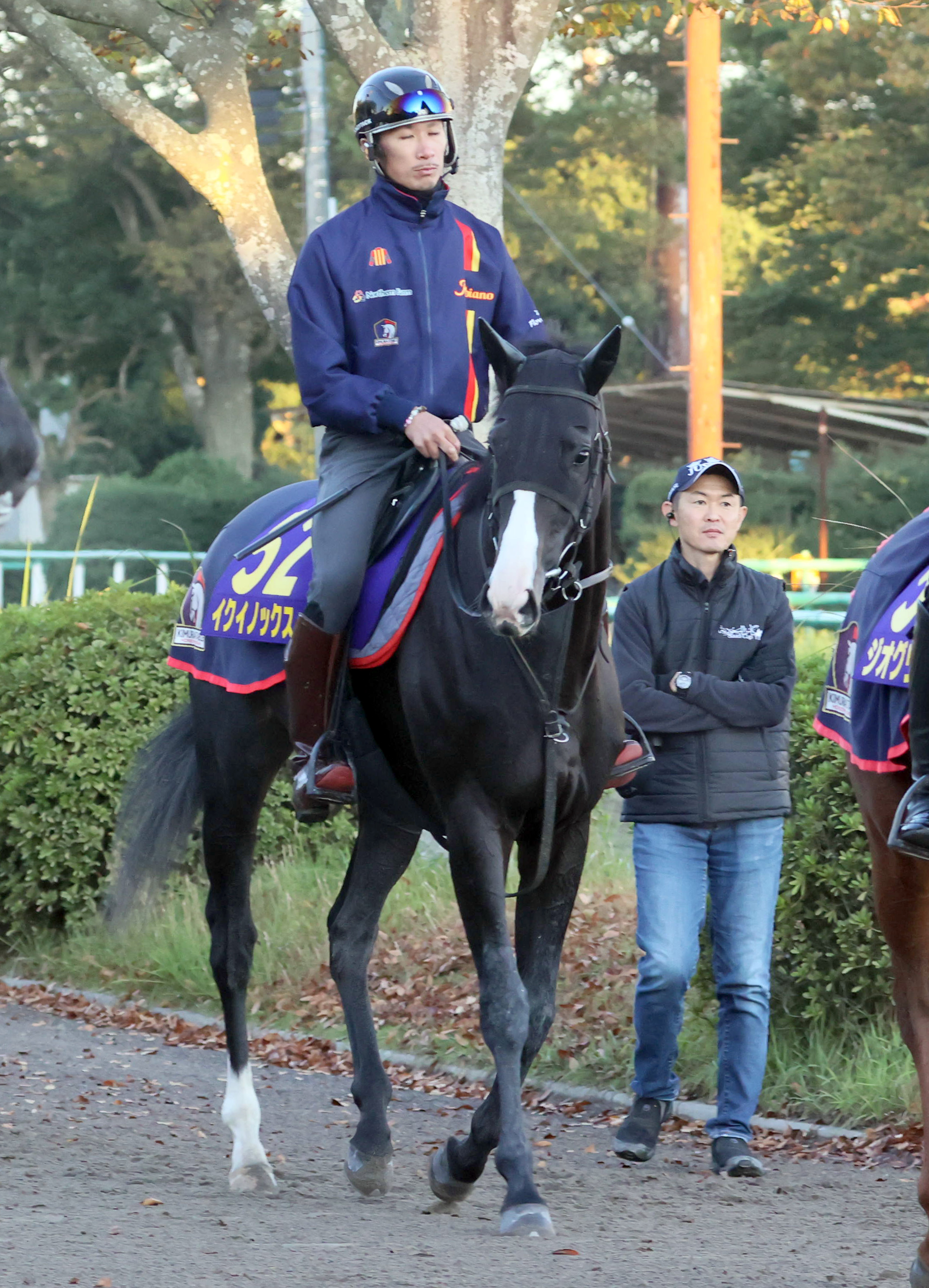 天皇賞 秋 開花の秋 ３歳屈指の実力派イクイノックスが古馬狩りへ サンスポzbat