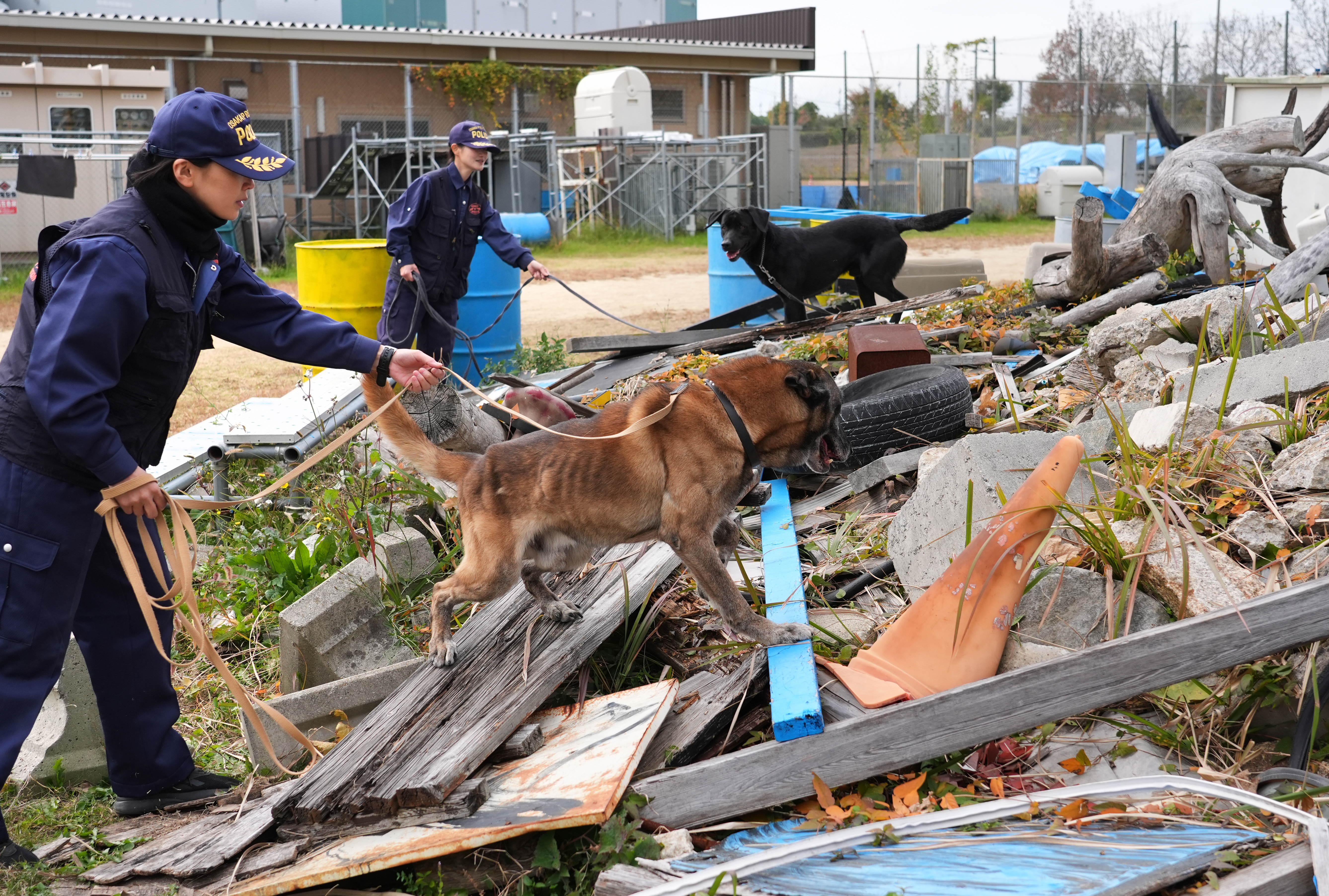動画】楽しませながら心通わせ 固い絆で事件捜査や人命救助、警察犬と