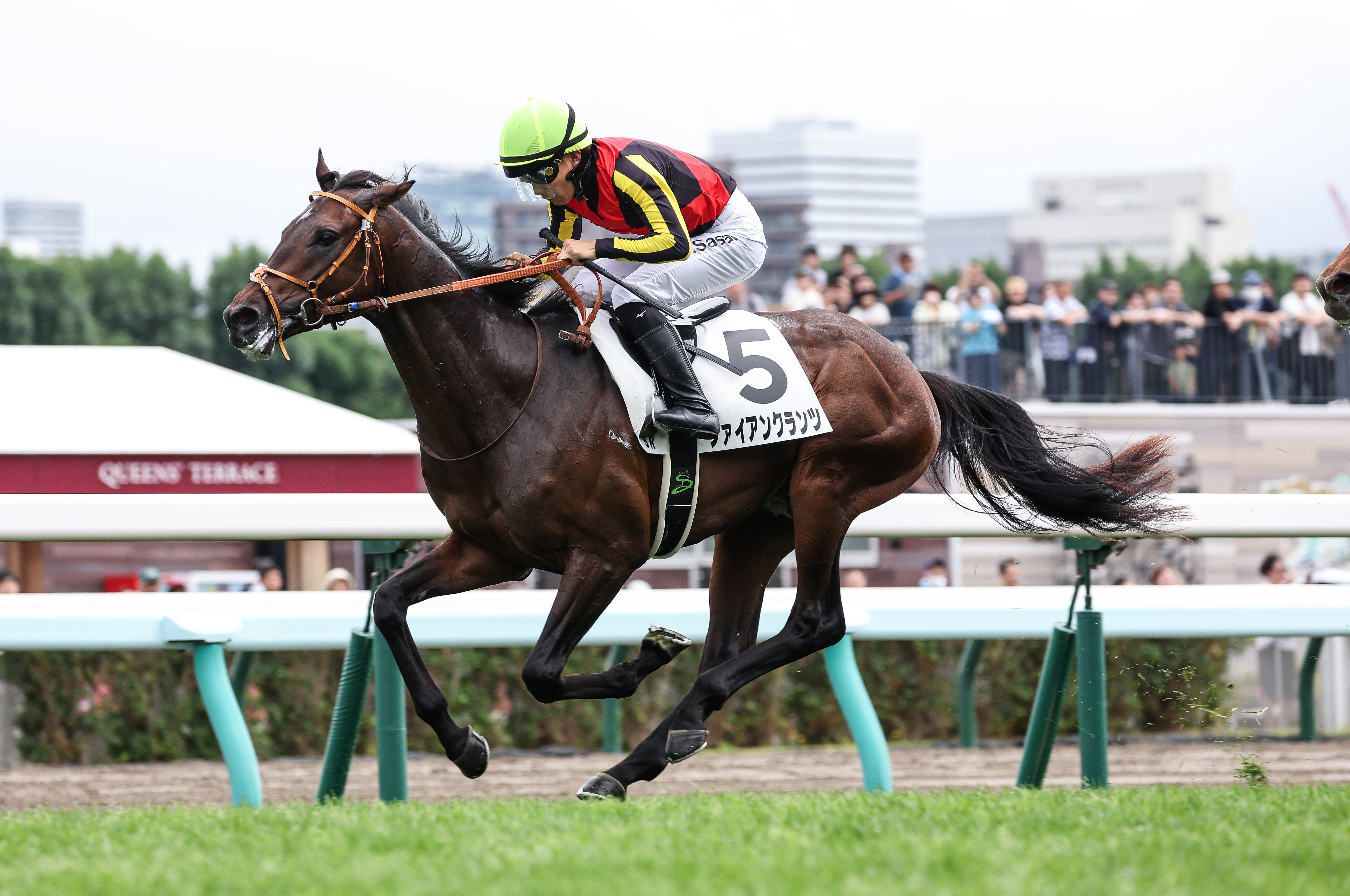 2歳新馬・札幌5R】ドゥラメンテ産駒ファイアンクランツが後続