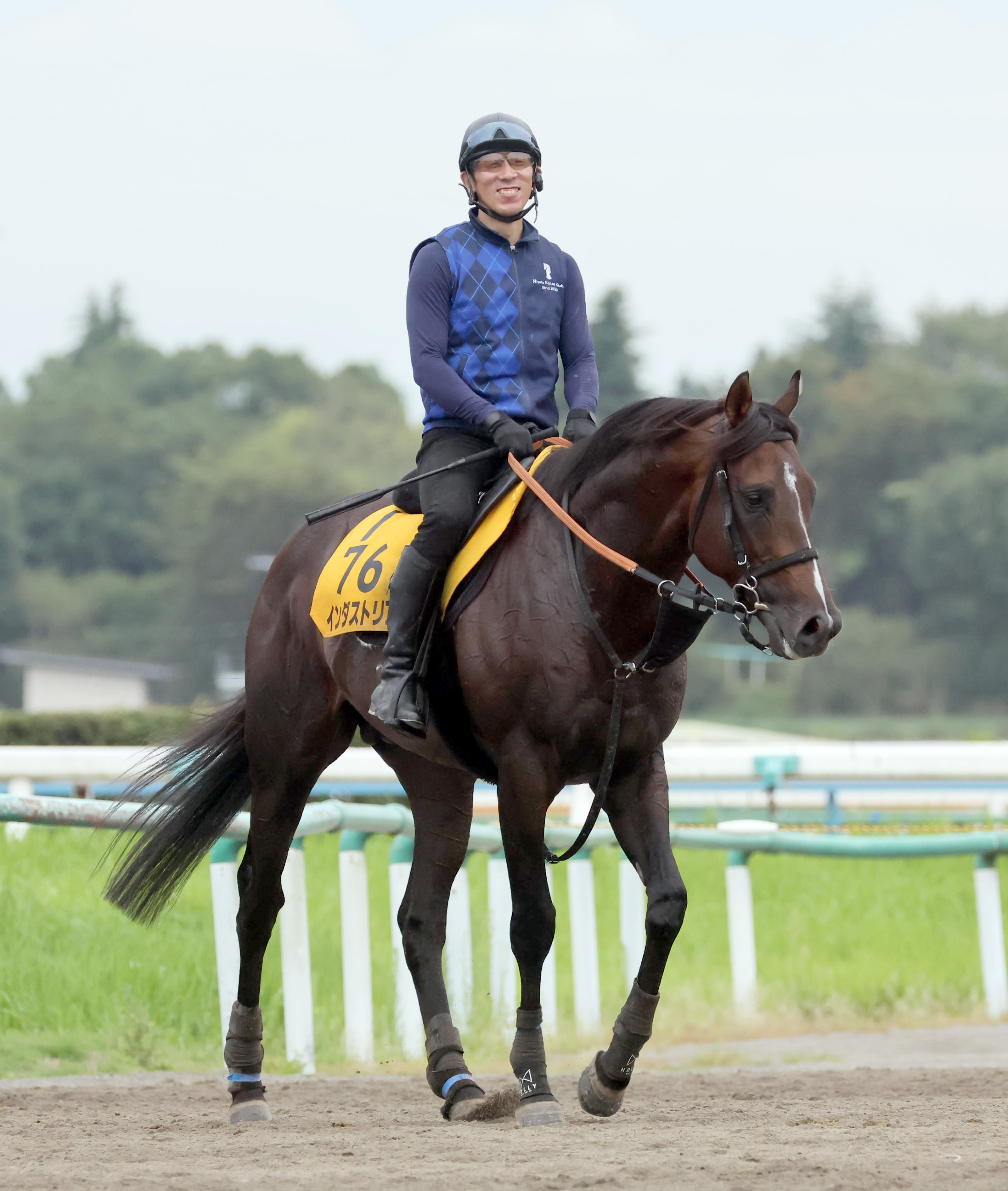 【京成杯ＡＨ ズバッと！言いたい放題】中山マイルは３戦３勝と ...