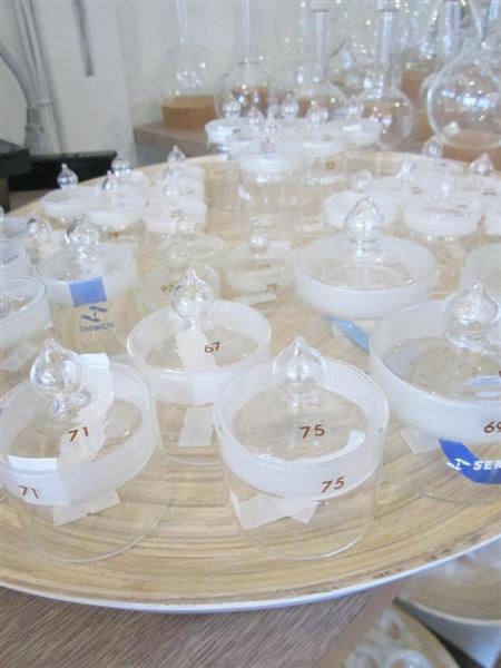 話題の肝】ビーカー、フラスコ、試験管－を食器や生活雑貨にアレンジ