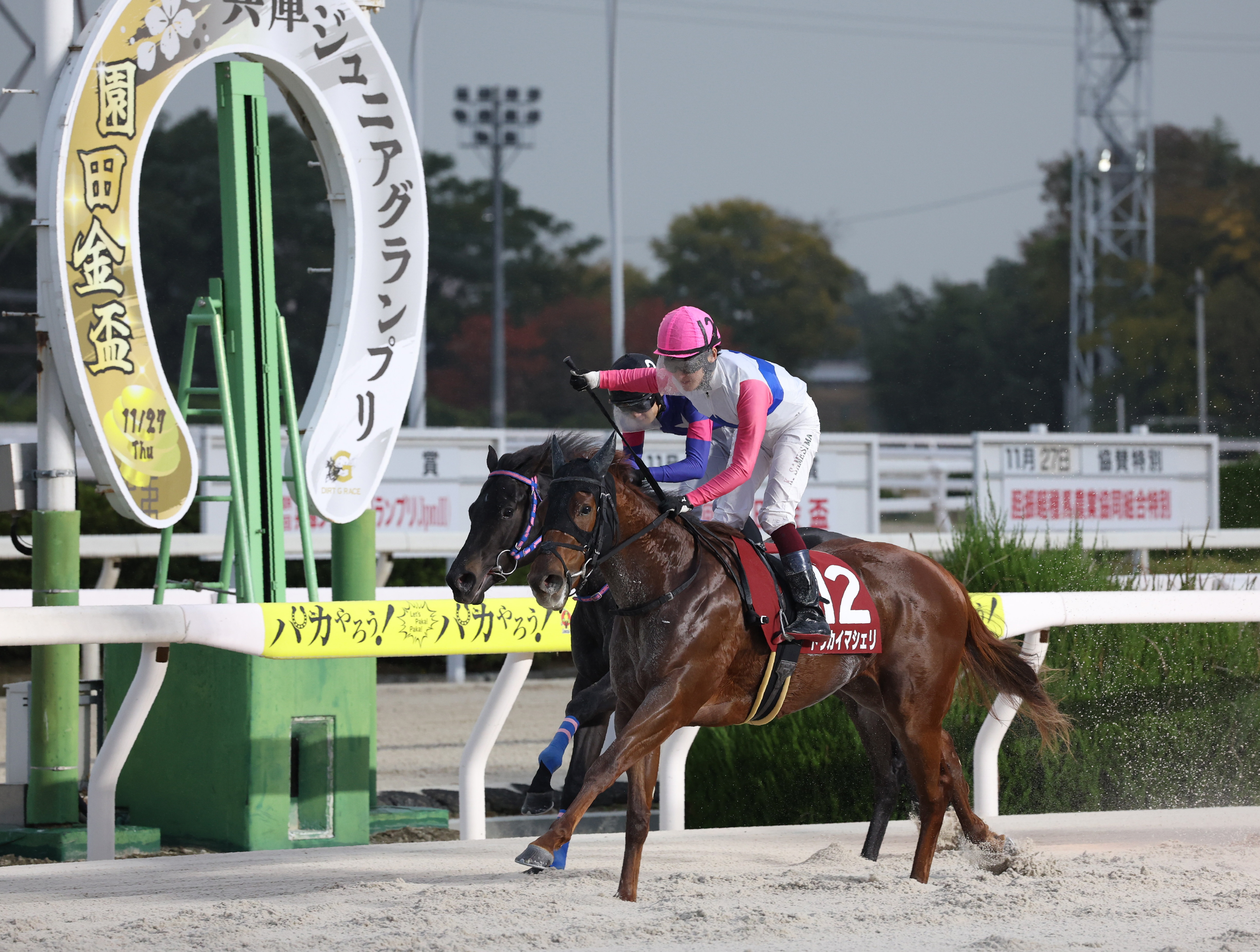競馬2着馬物語 競馬2着馬物語 新装版: 懐かしの激走馬たち | G1レースSR研究会 |本