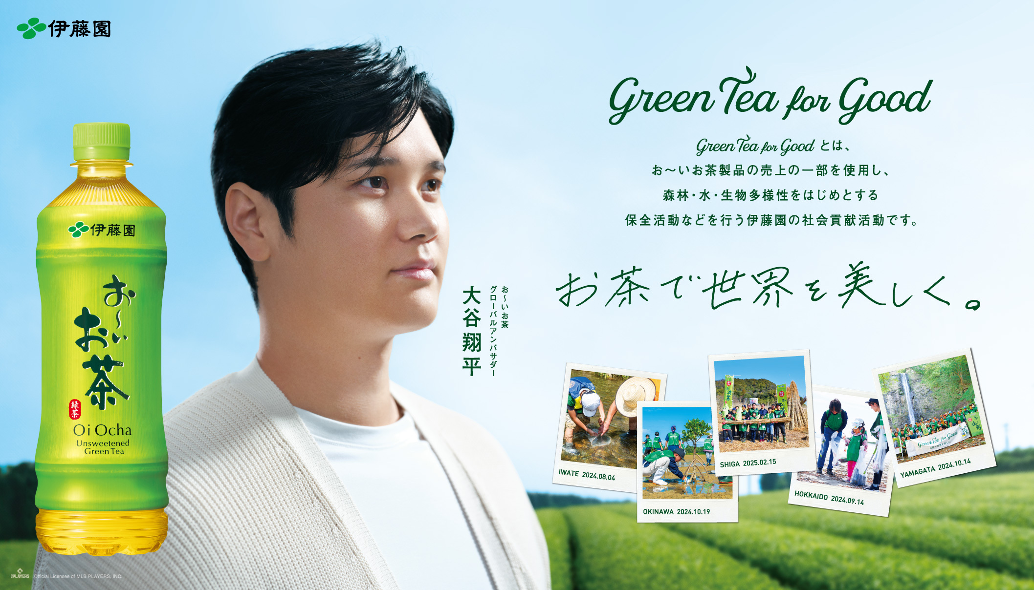 お～いお茶」大谷翔平ボトル2025夏verが6月30日から販売開始 投