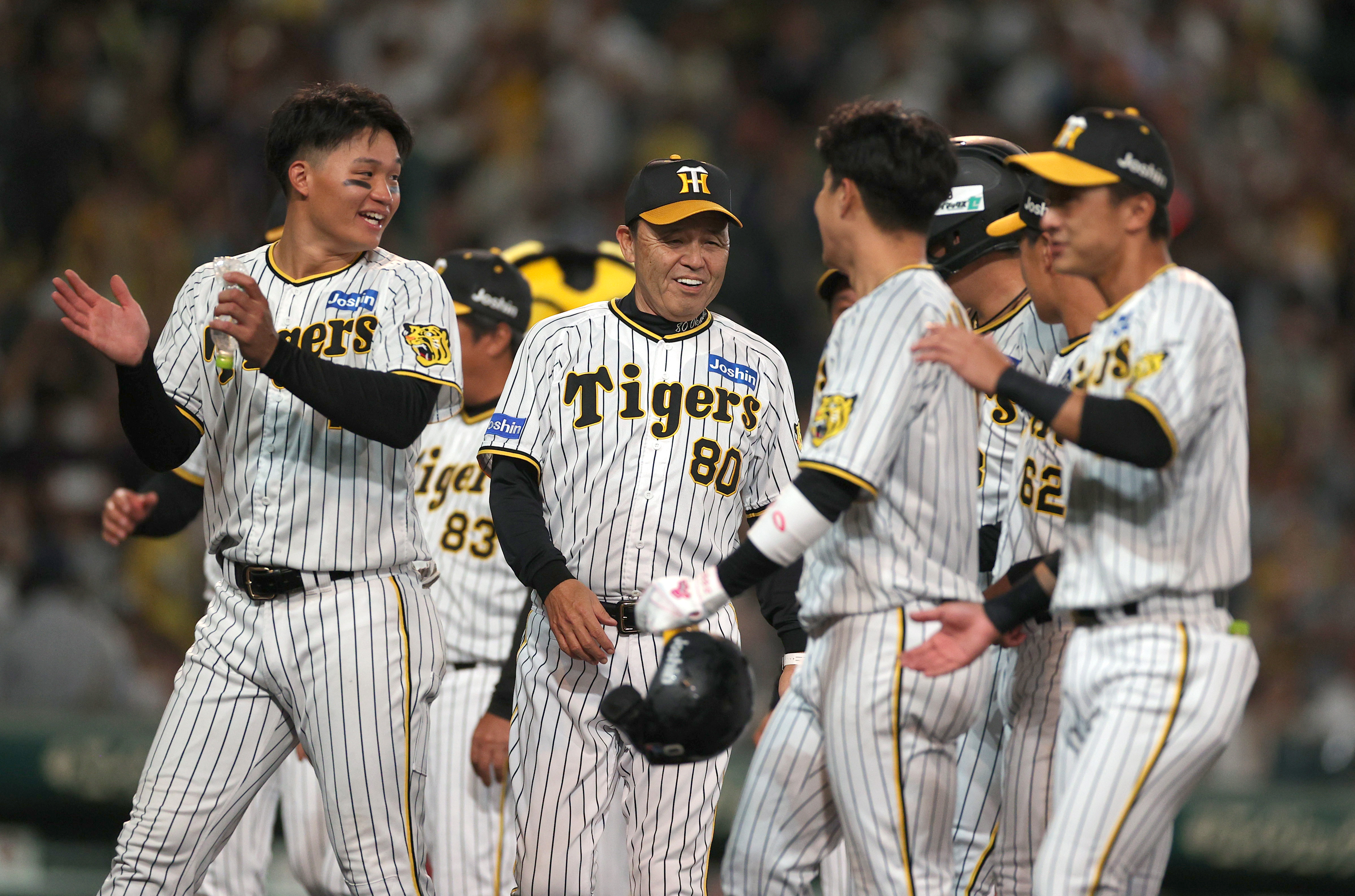 データＢＯＸ】無敗で王手をかけた阪神の日本シリーズ進出率は１００