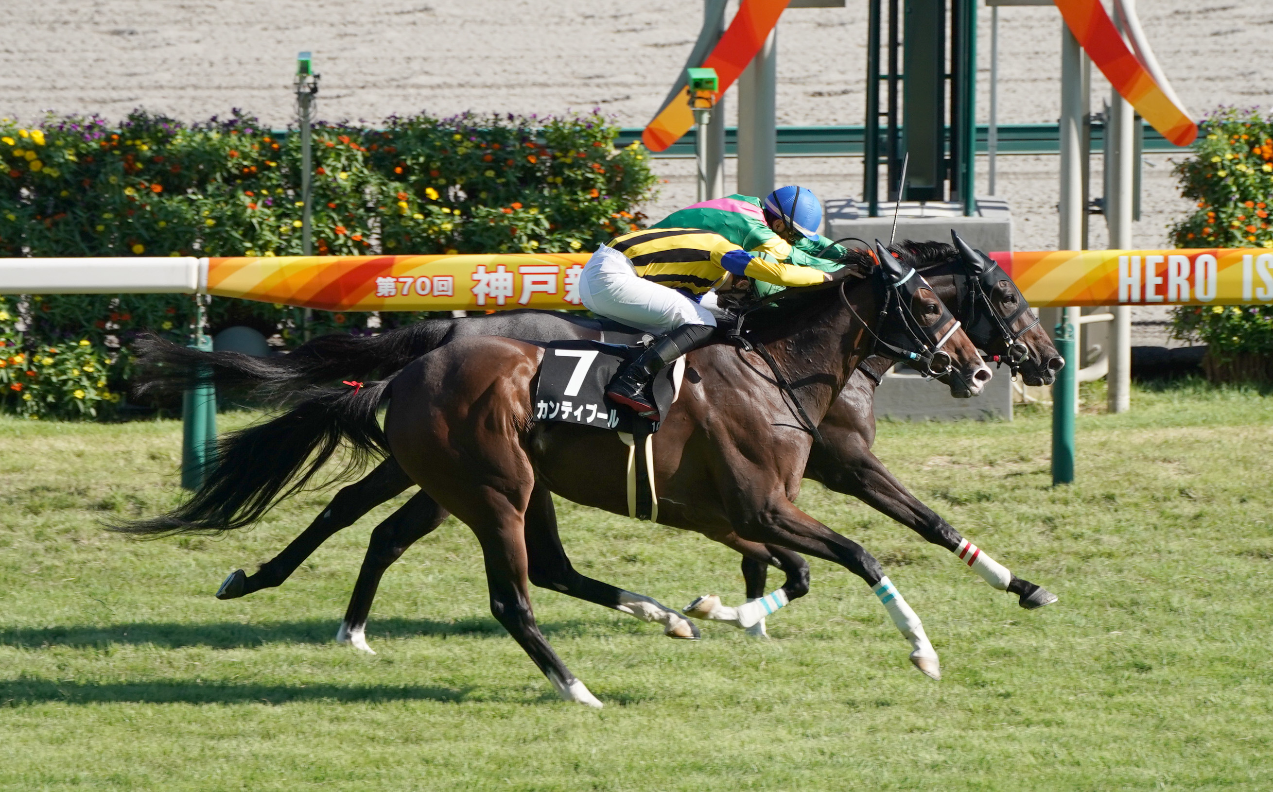 岩田望来騎手が復帰初戦でｖ どんどん高みを目指していきたい サンスポzbat