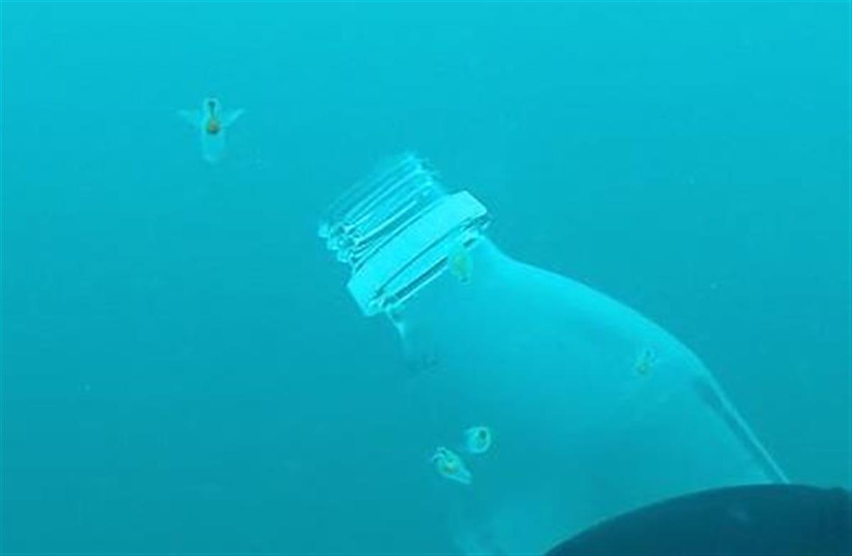 展示する生き物 実は大半が飼育員の採集 アクアマリンふくしま 1 2ページ 産経ニュース