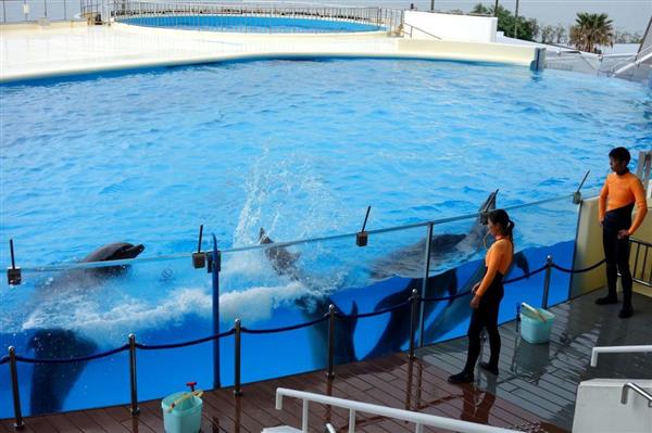 福岡の水族館 マリンワールド海の中道 改装１年で入館者１ ５倍 産経ニュース