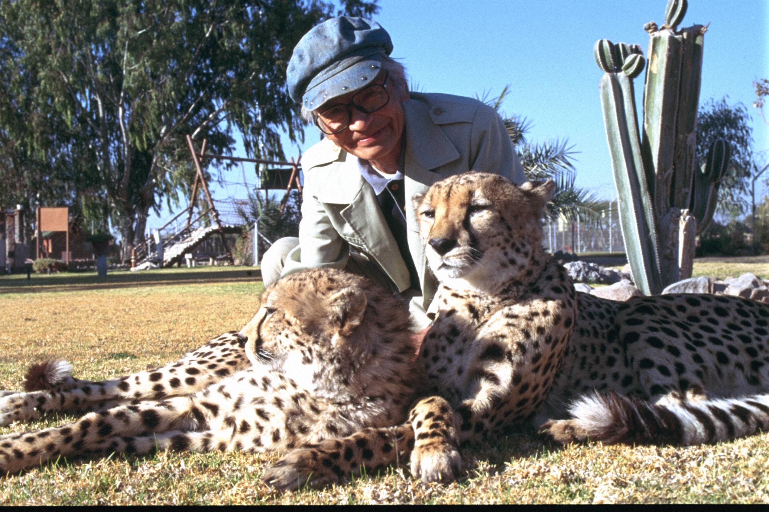 ムツゴロウさん、動物王国から天国へ 87歳心筋梗塞 「ようし、よし