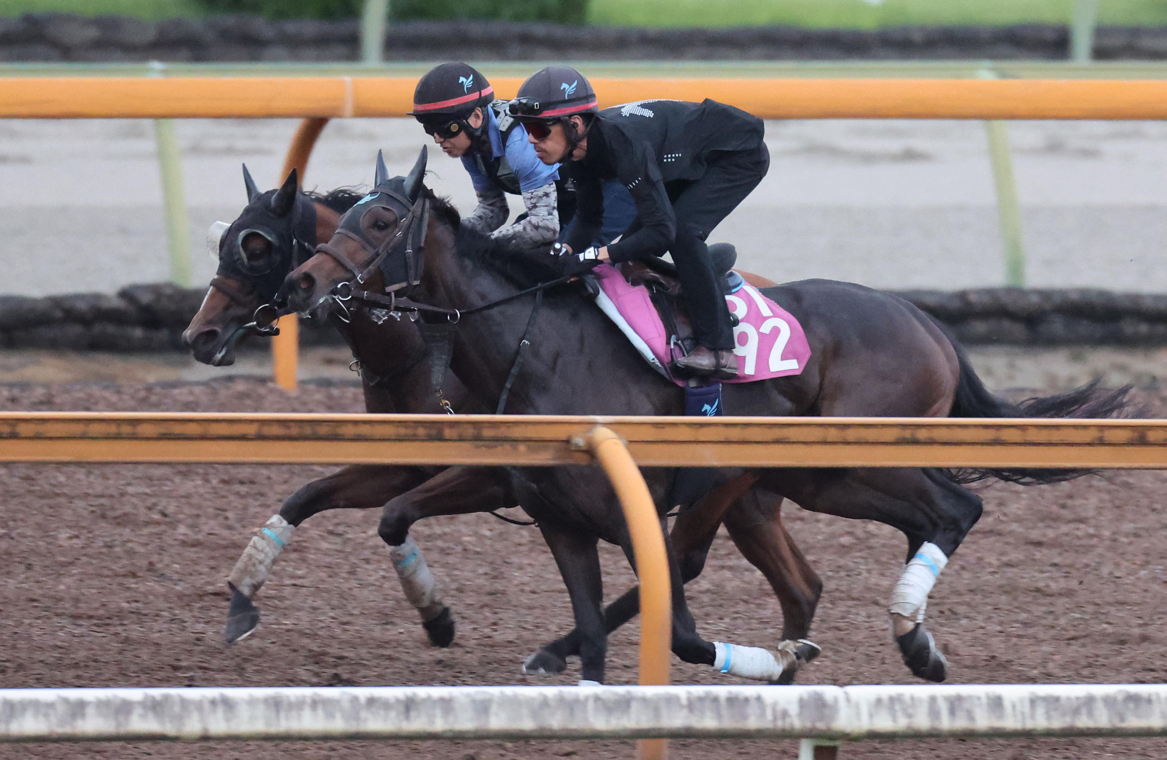 アイビスSD 追い切り】ピューロマジックは連覇へラスト11秒3 安田師